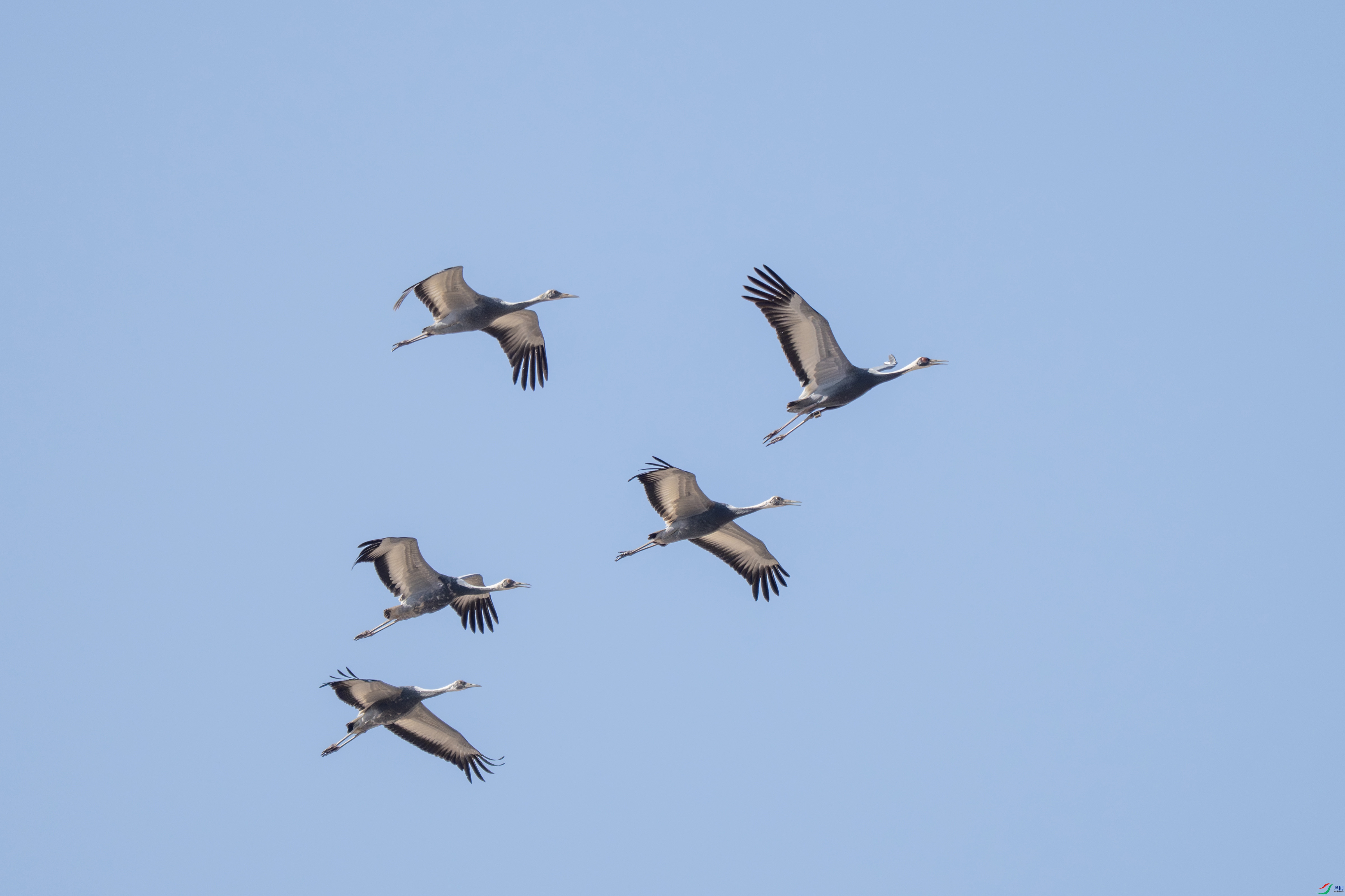 DSC_6510 ����.jpg