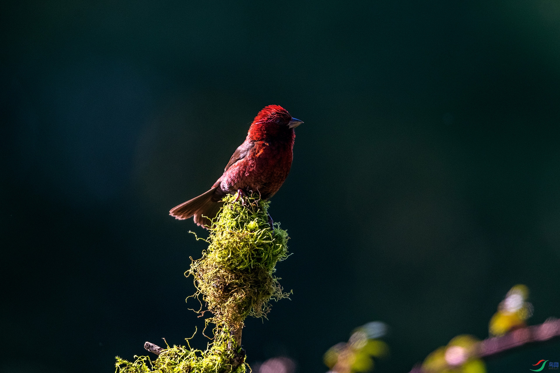 _AUU8614 �ƺ���ȸ(25.8.25).jpg