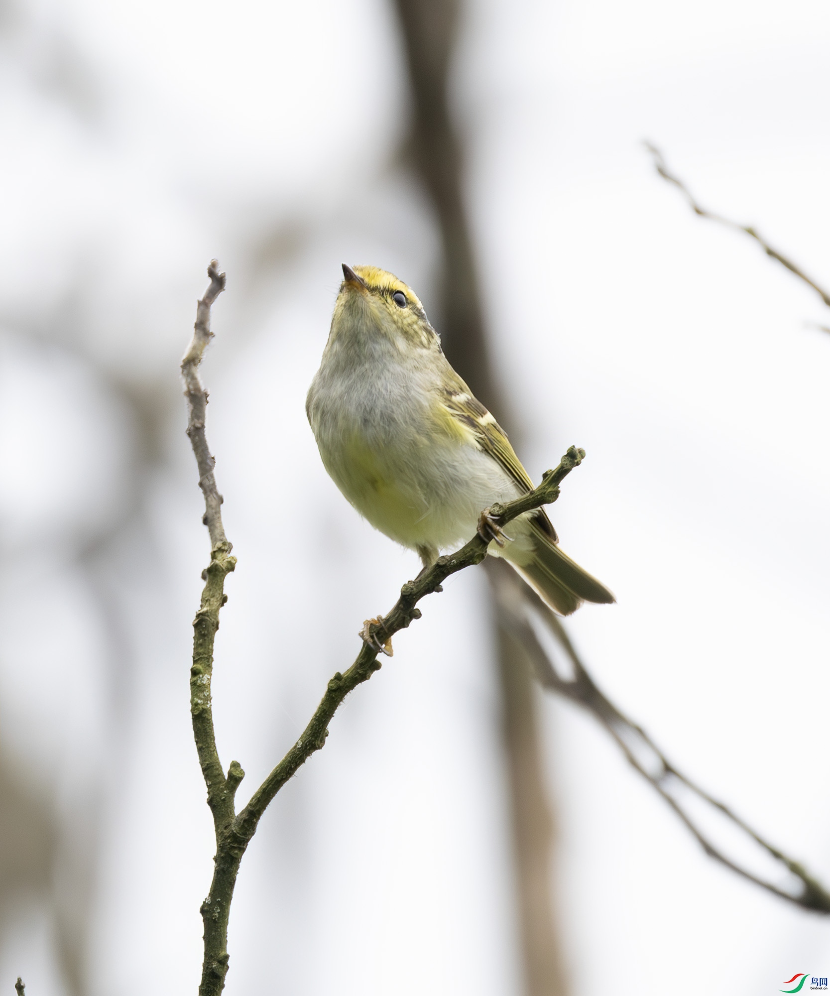 G47A8381-����ǿ-NR ����.jpg