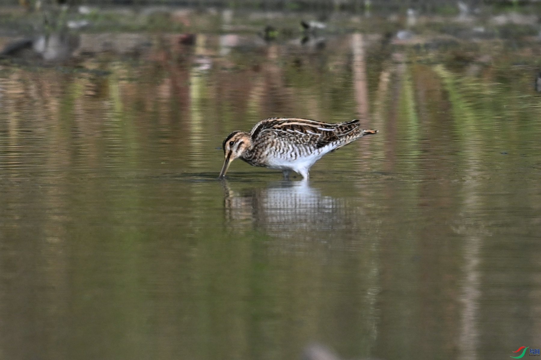 DSC_5088.JPG