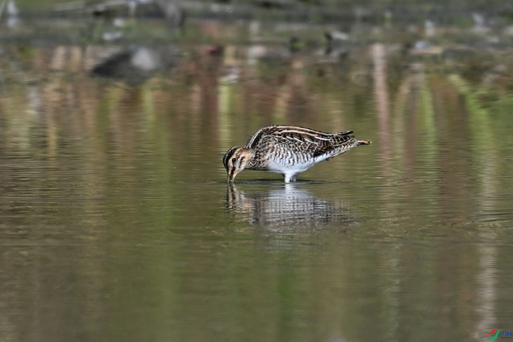 DSC_5094.JPG