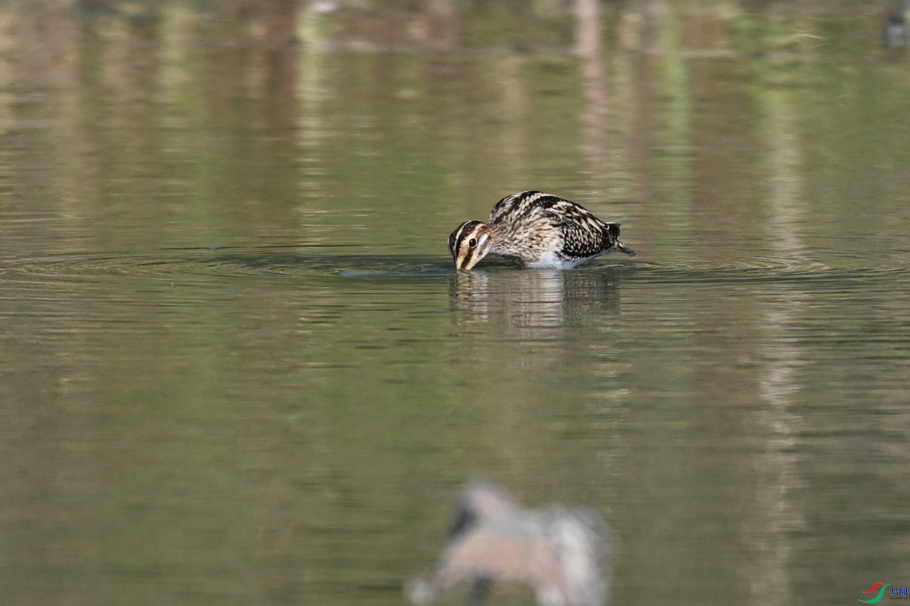 DSC_5119.JPG