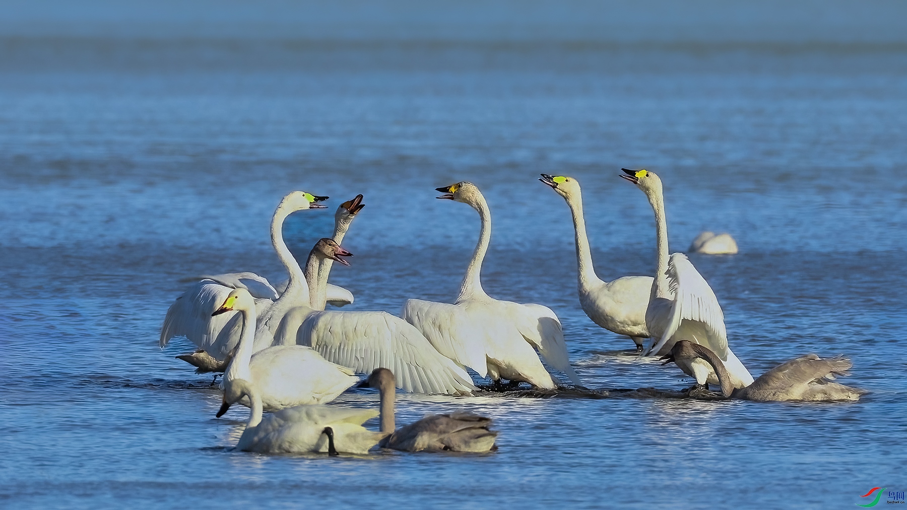 11��13�� ����.jpg