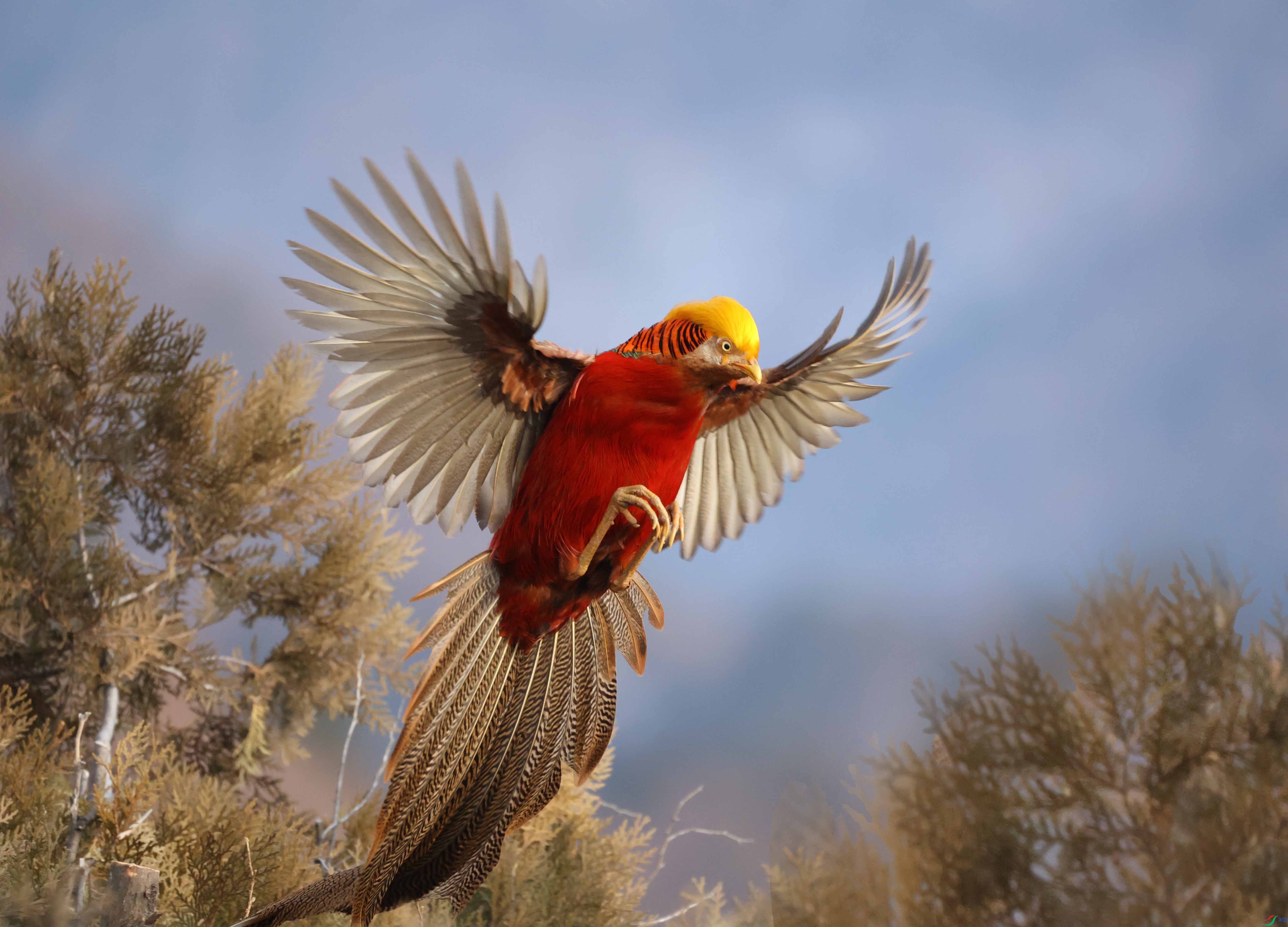 1-xtBF8A0124 ����.jpg