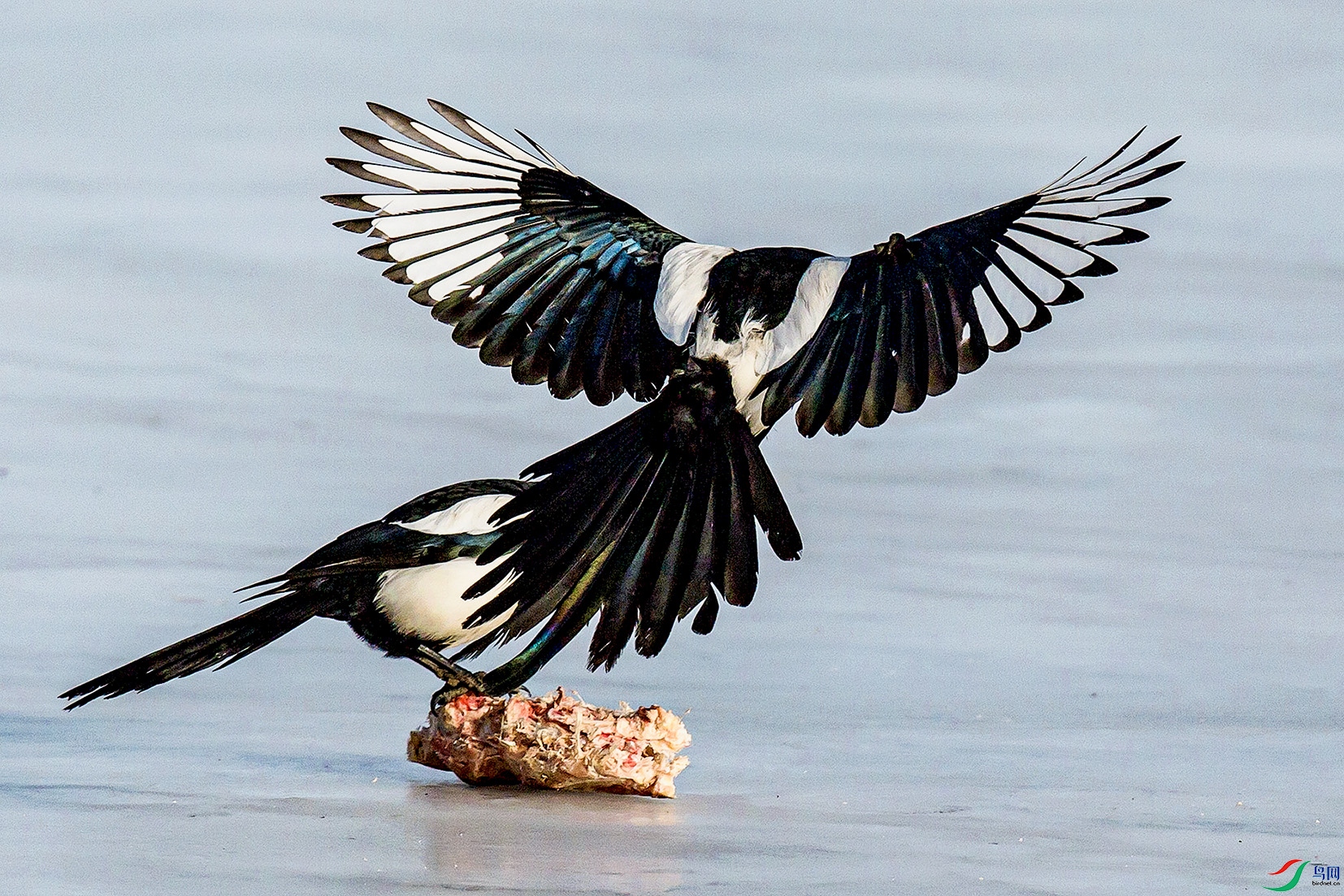 _MG_0581 ���� 2.jpg