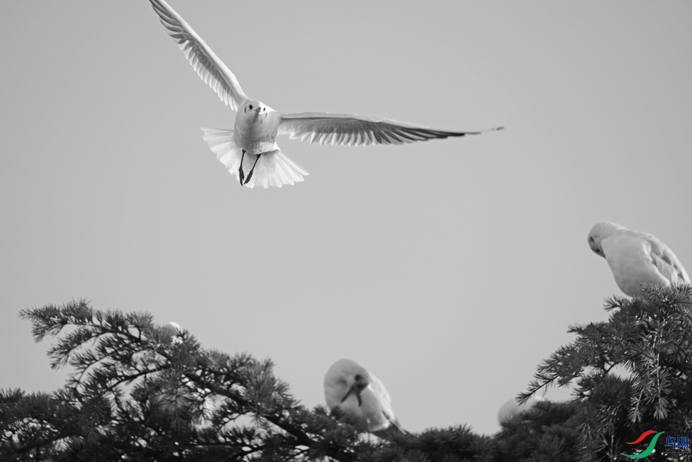 DSCF3848.1.JPG