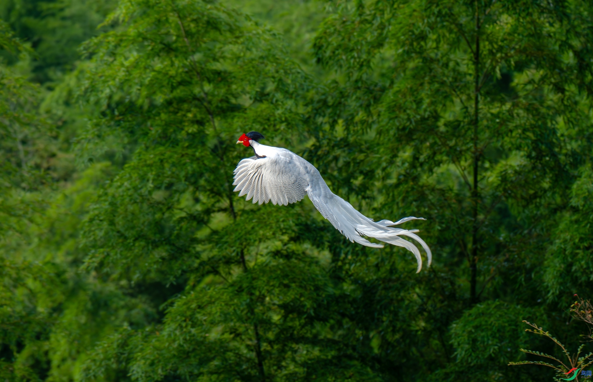 11.5���789��ʦ��Ʒ  �ɿͼ���(ף���ٻ��������).jpg