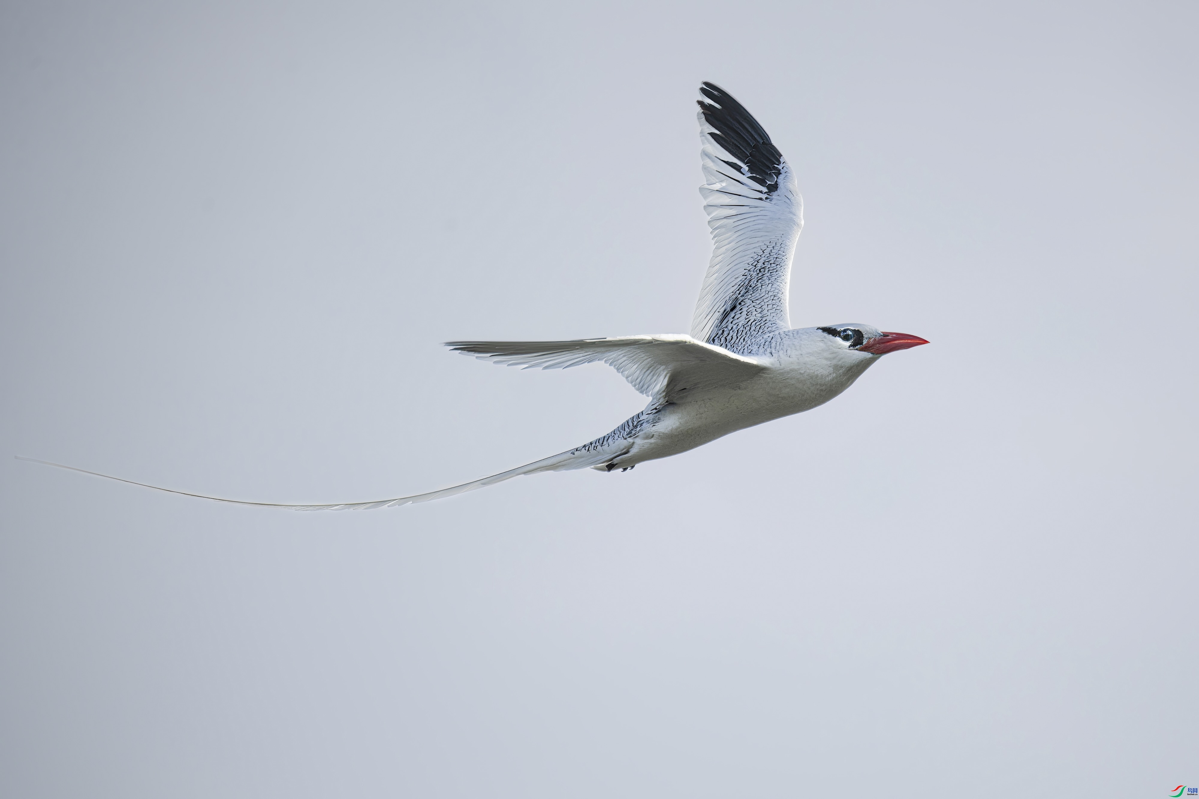 11.10wanghc��ʦ��Ʒ   ������ ��ף���ٻ���Ӱʦ������.jpg