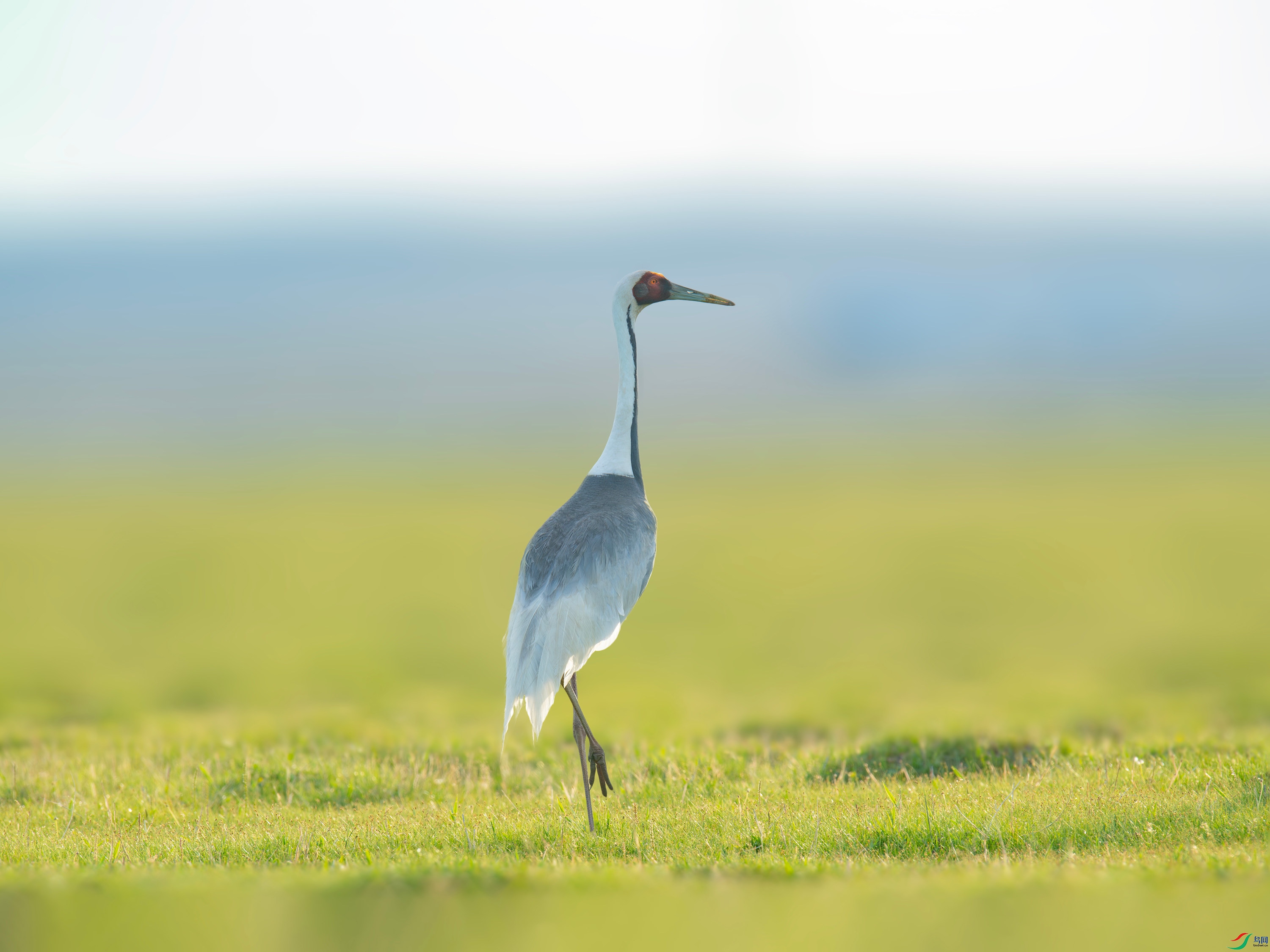 ������  (4).jpg