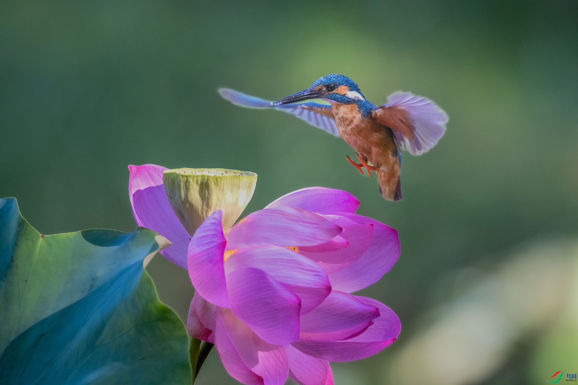 _DSC0026 ����.jpg