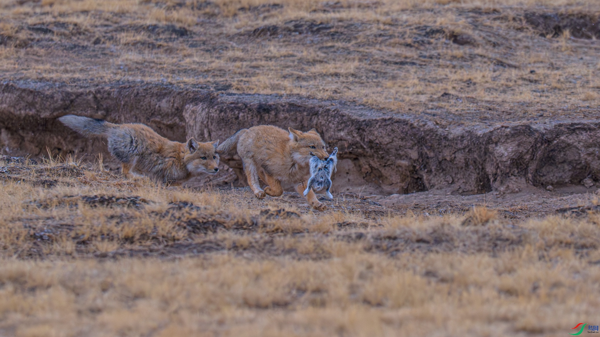 _DSC9484 ����_����.jpg