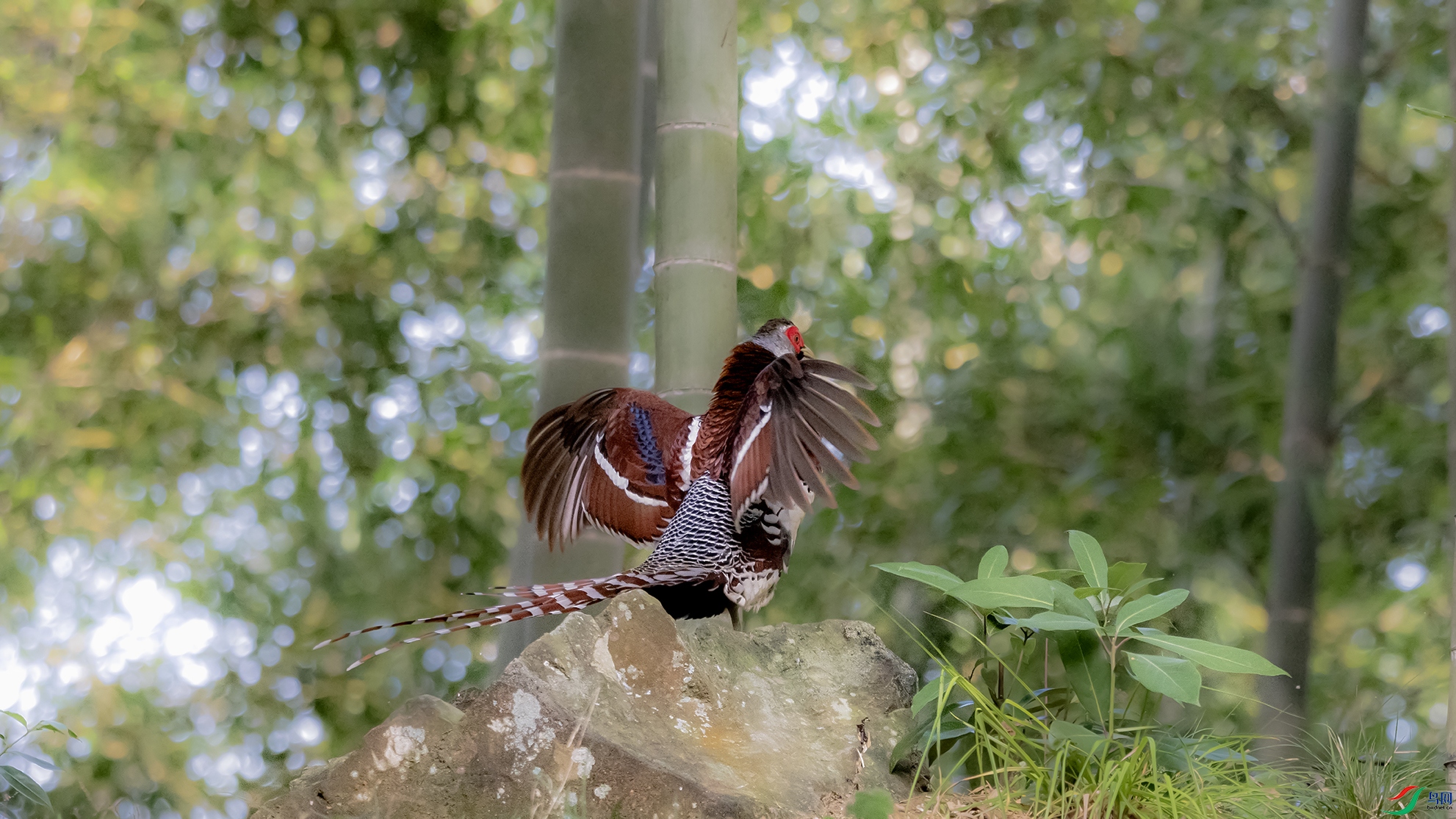 _DSC1538 ����.jpg