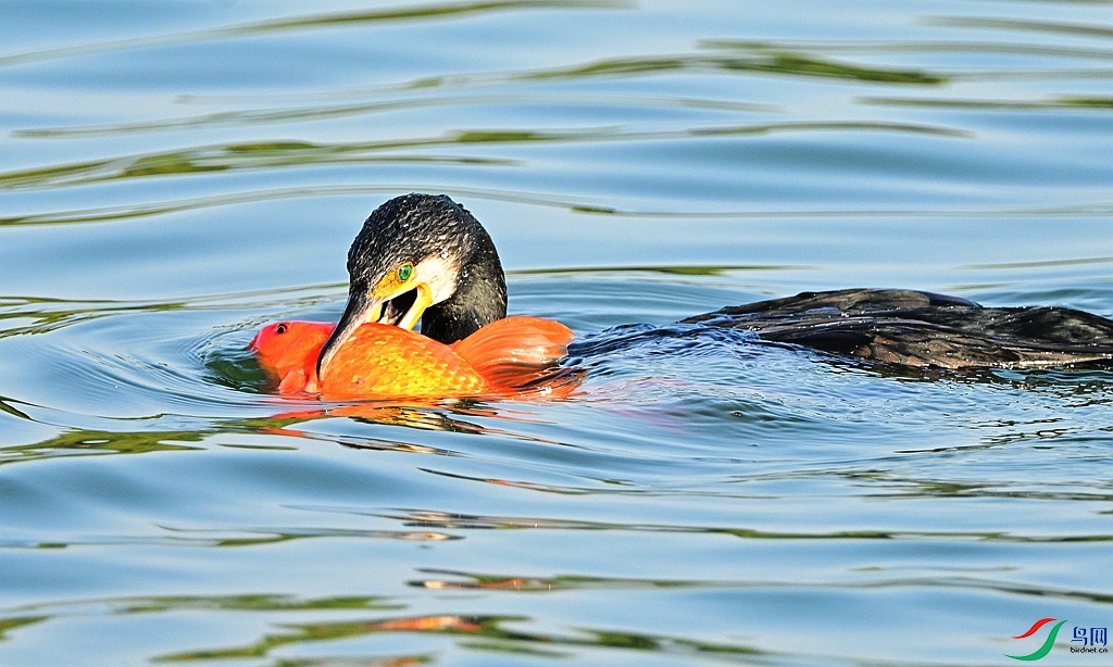 DSC_3413.JPG
