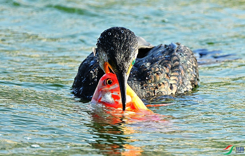 DSC_3885.JPG