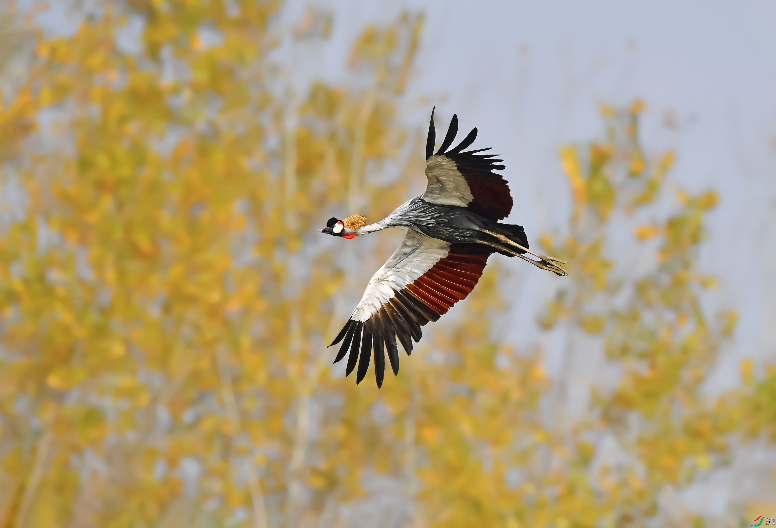 DSC_3793.jpg