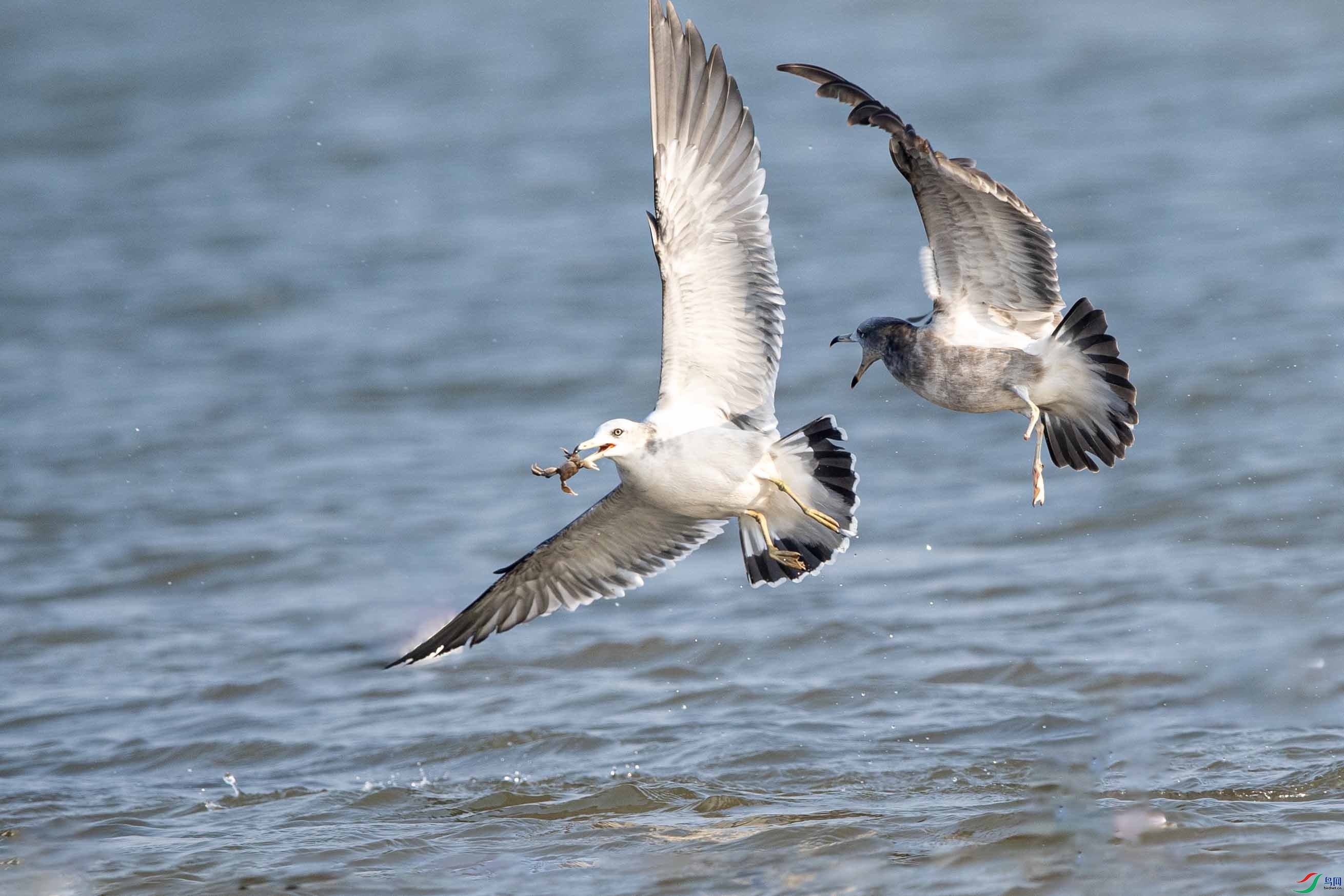 _LYF3582 ����.jpg