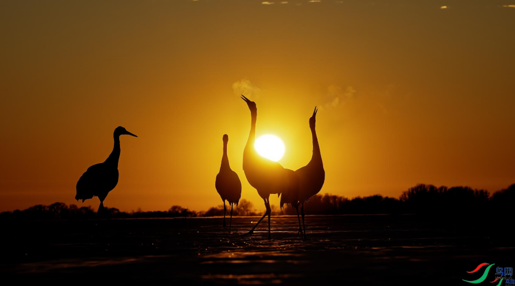 б������ٻ�ÿ�ռ��������ֺͱ��Q 13.png