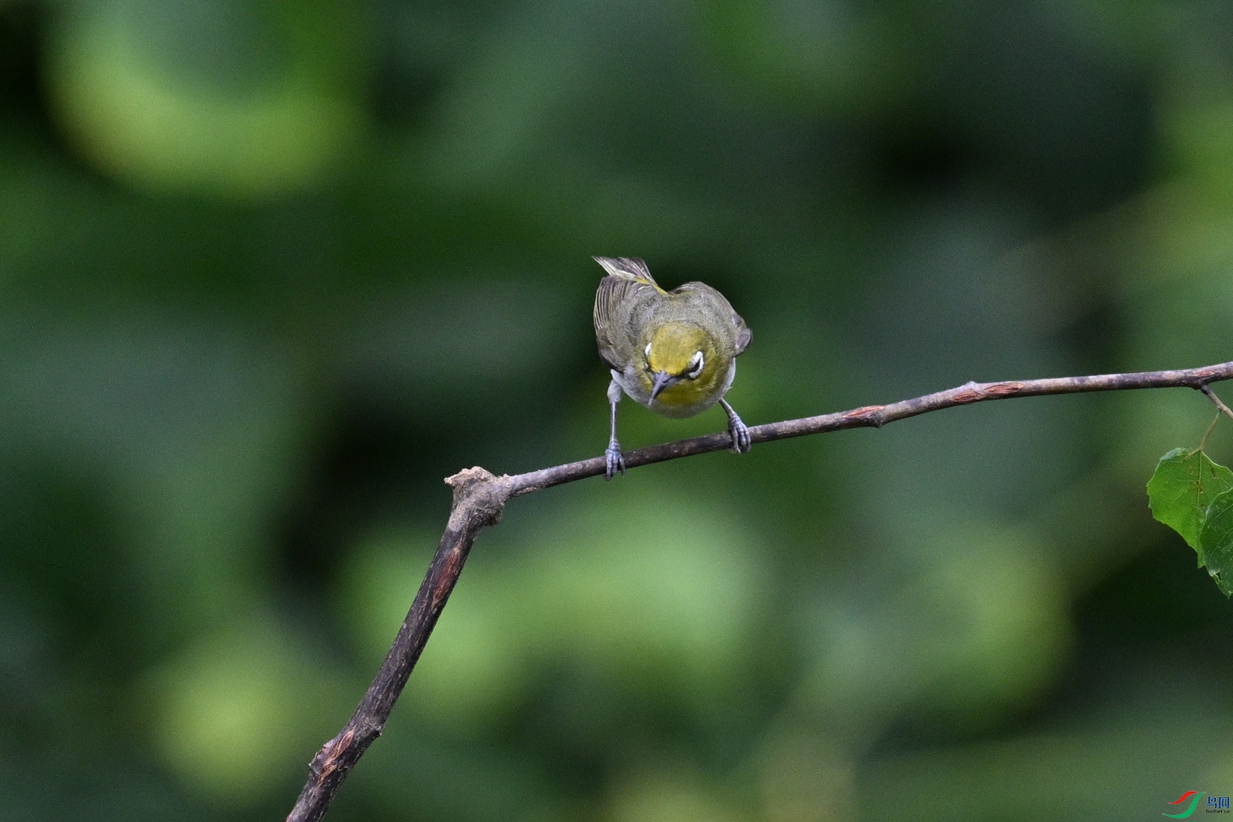 DSC_7928.JPG