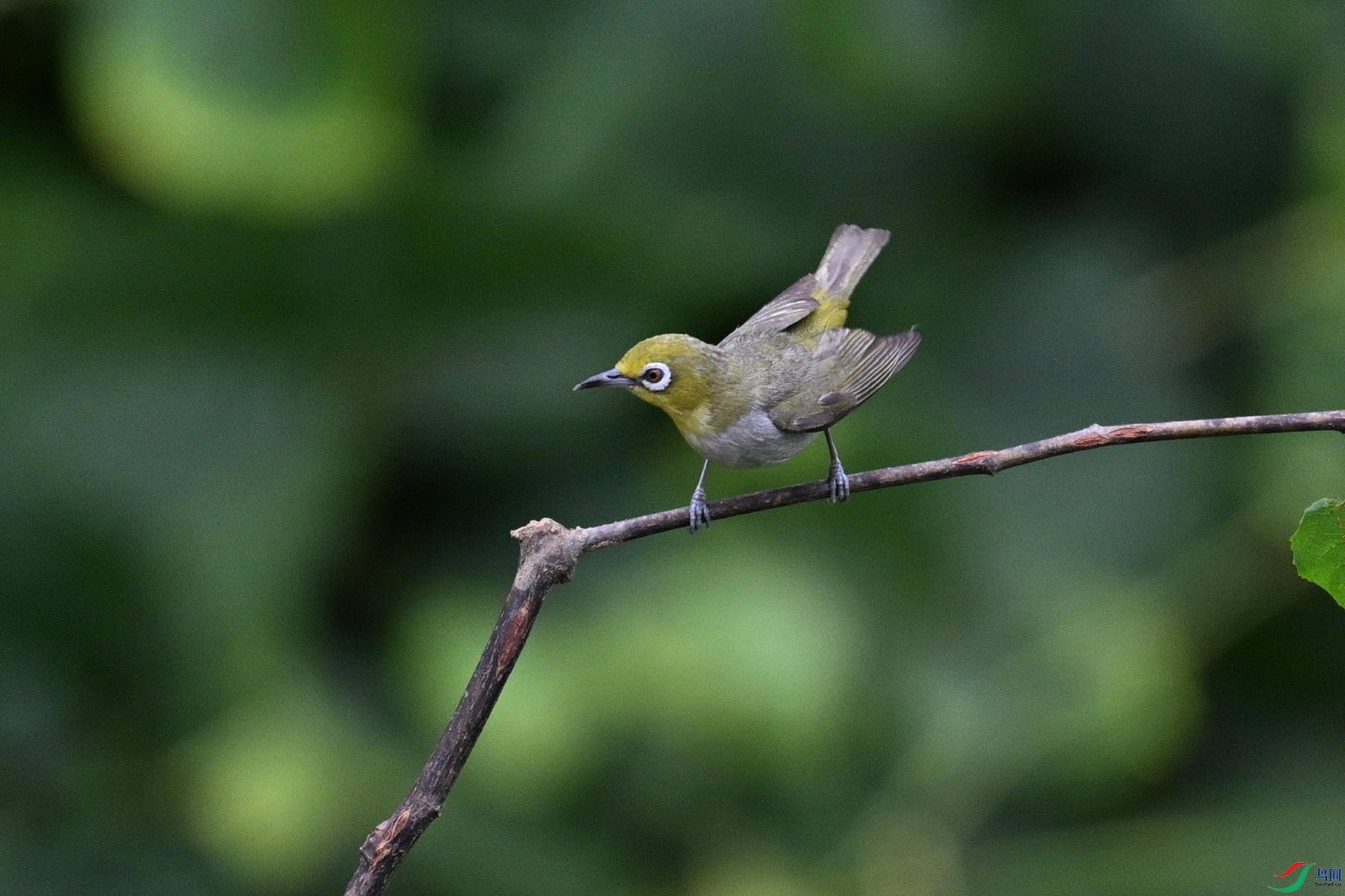 DSC_7930.JPG