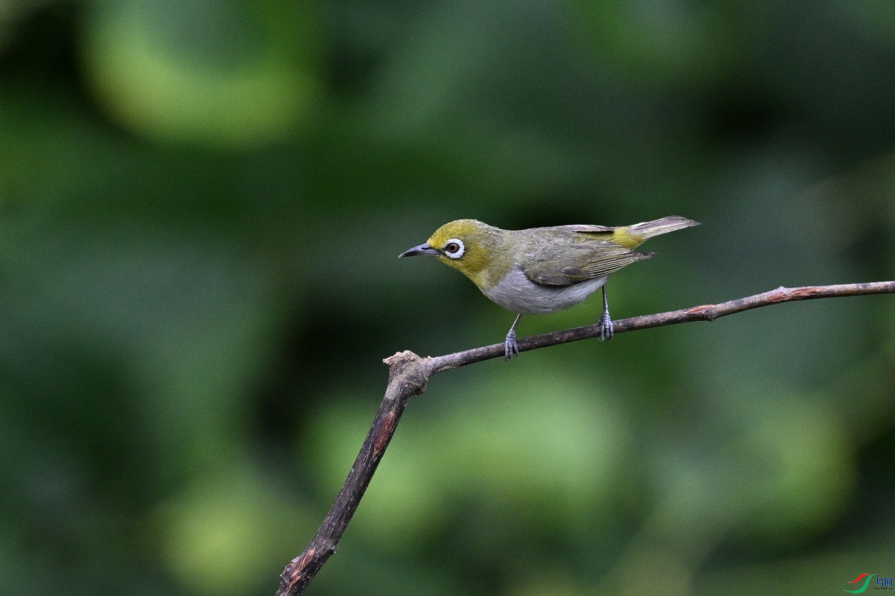DSC_7934.JPG