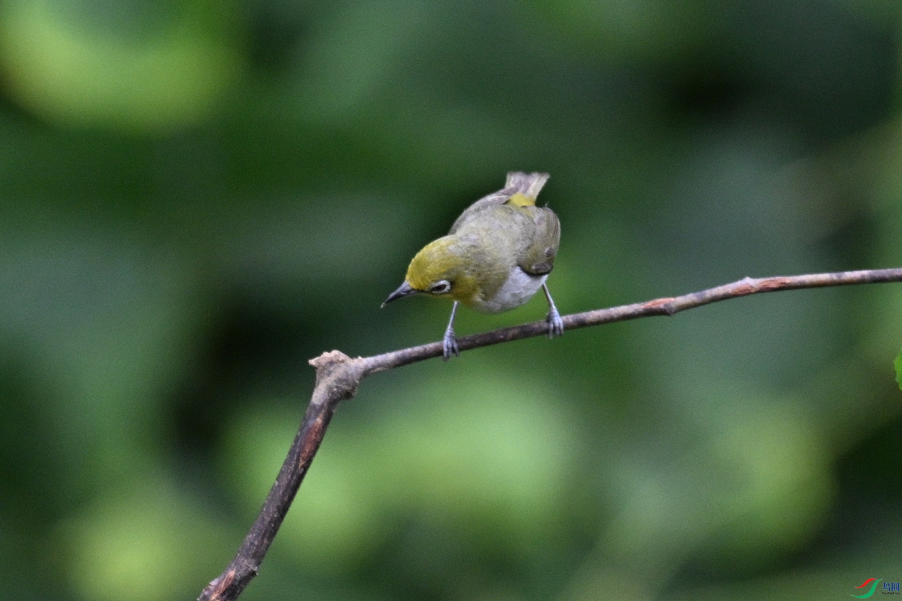 DSC_7969.JPG
