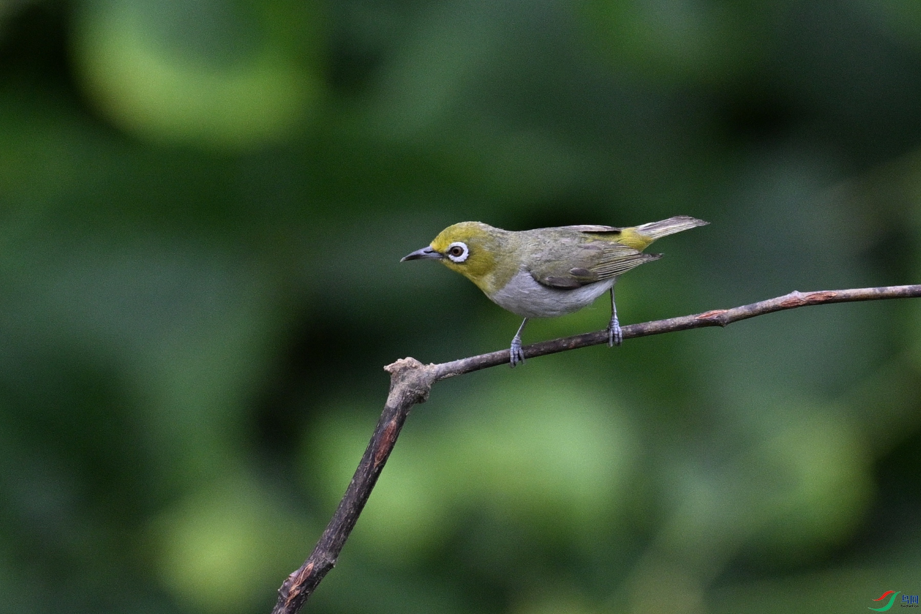 DSC_7936.JPG