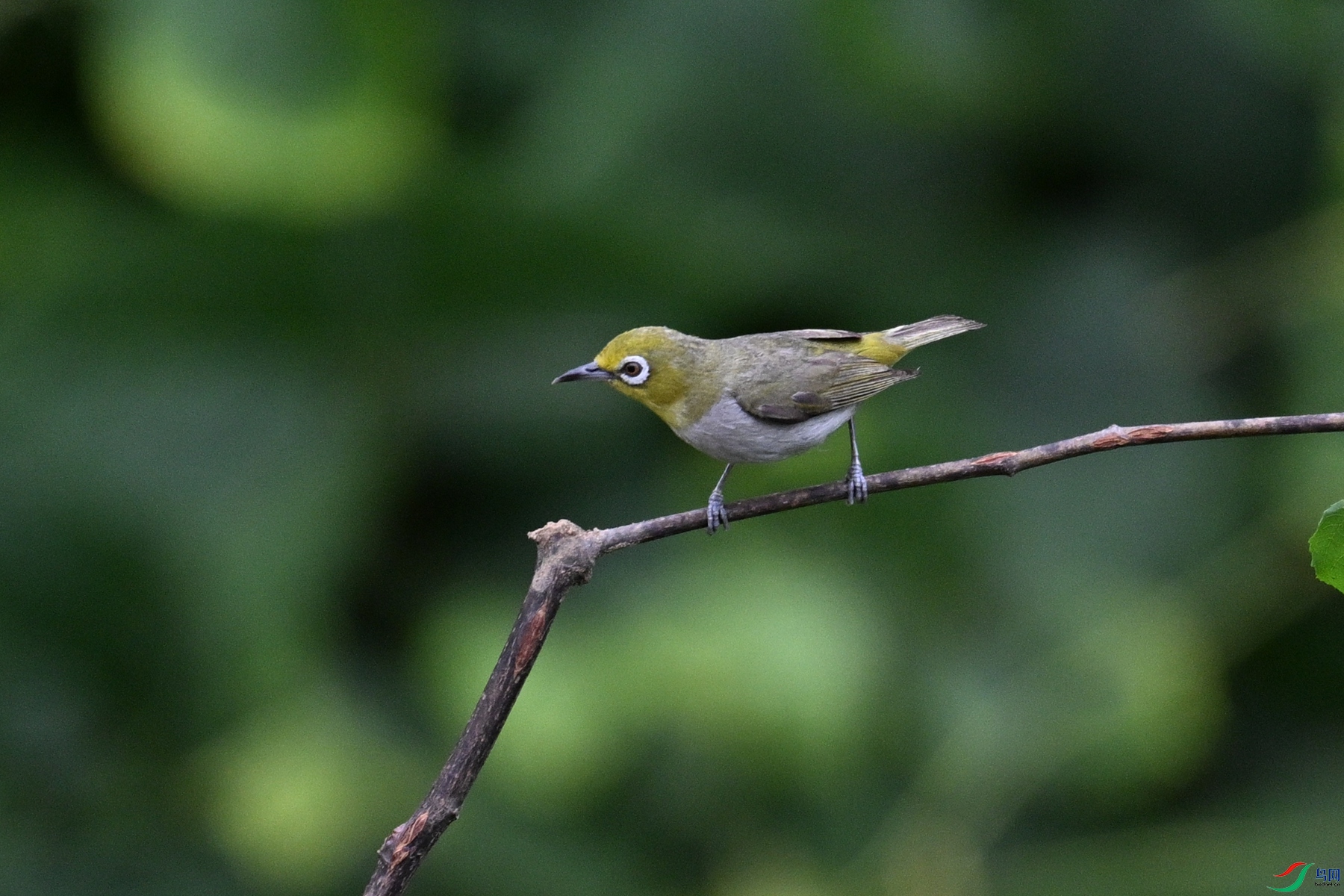 DSC_7939.JPG
