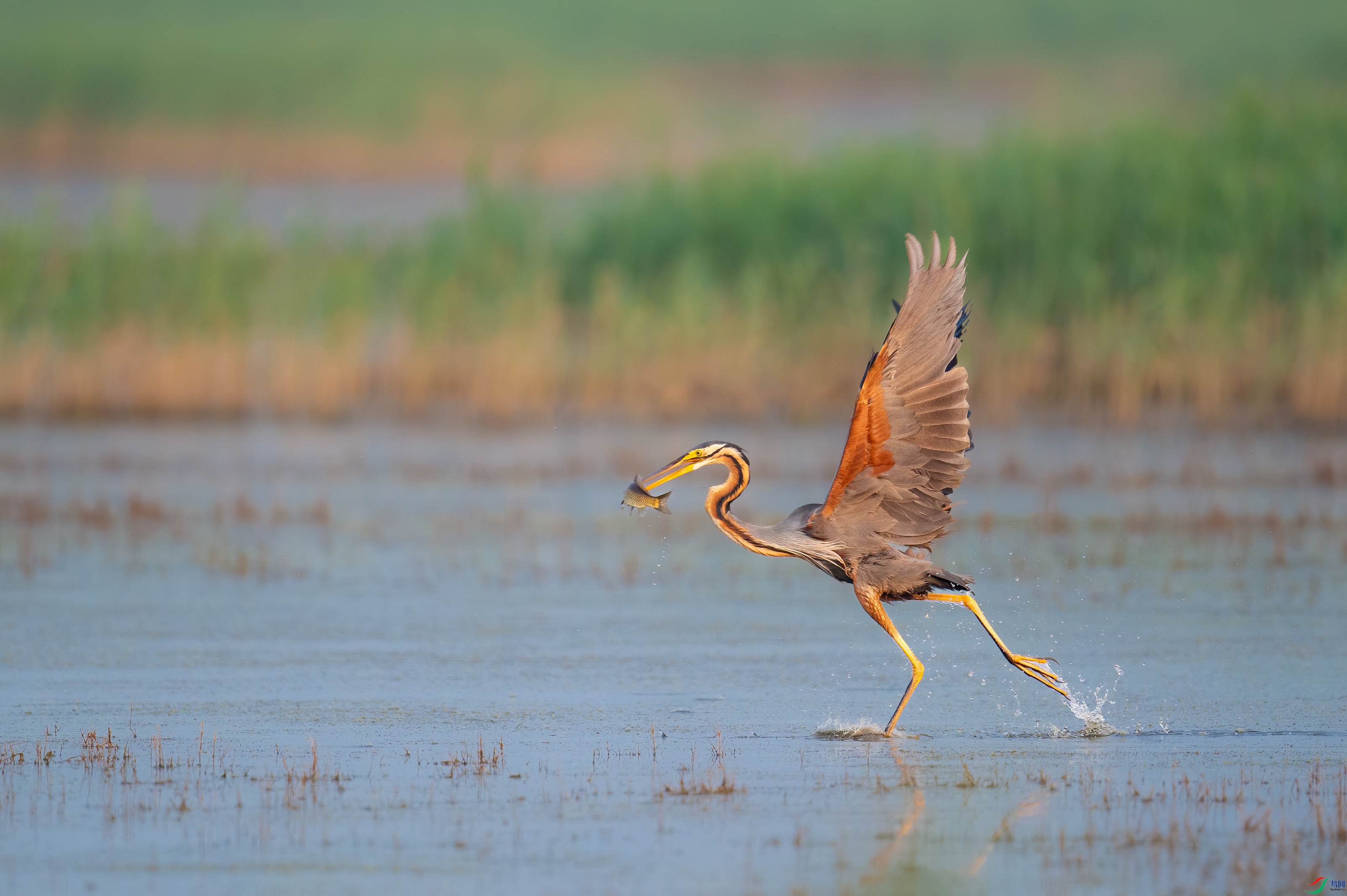 sen2016 7-3-26-�༭.jpg