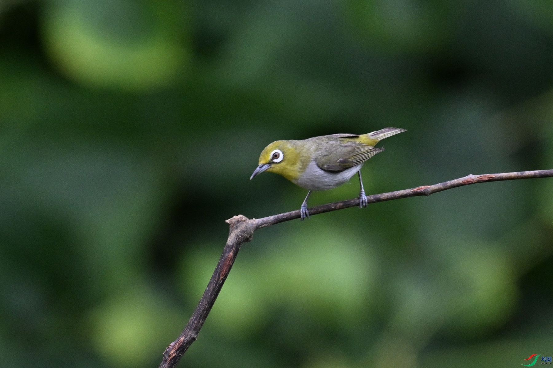 DSC_7961.JPG