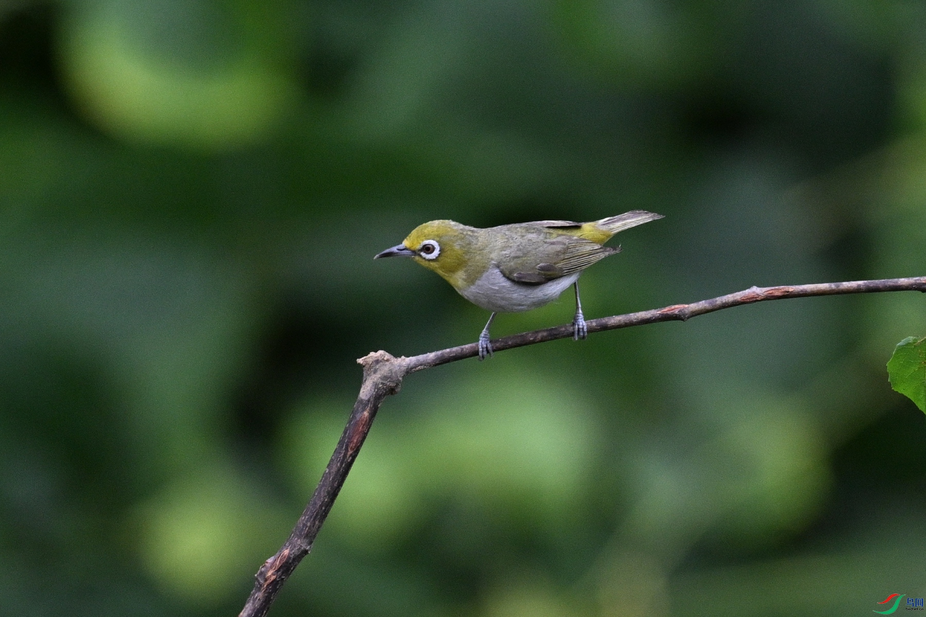 DSC_7942.JPG