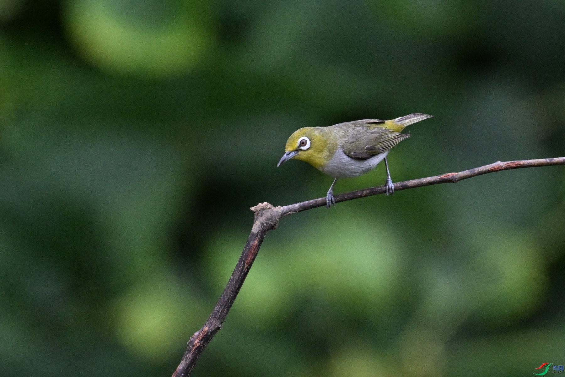 DSC_7963.JPG