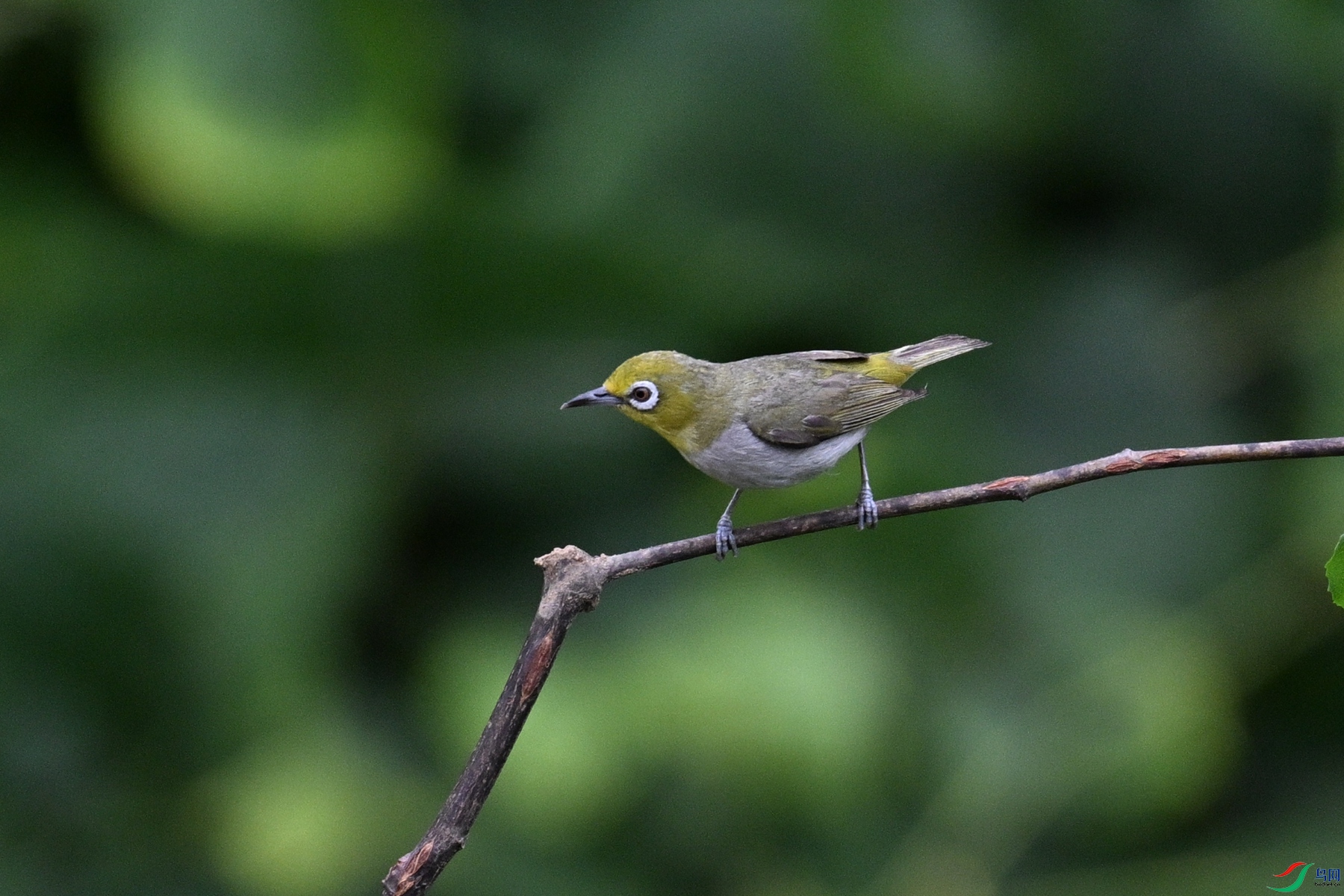 DSC_7945.JPG