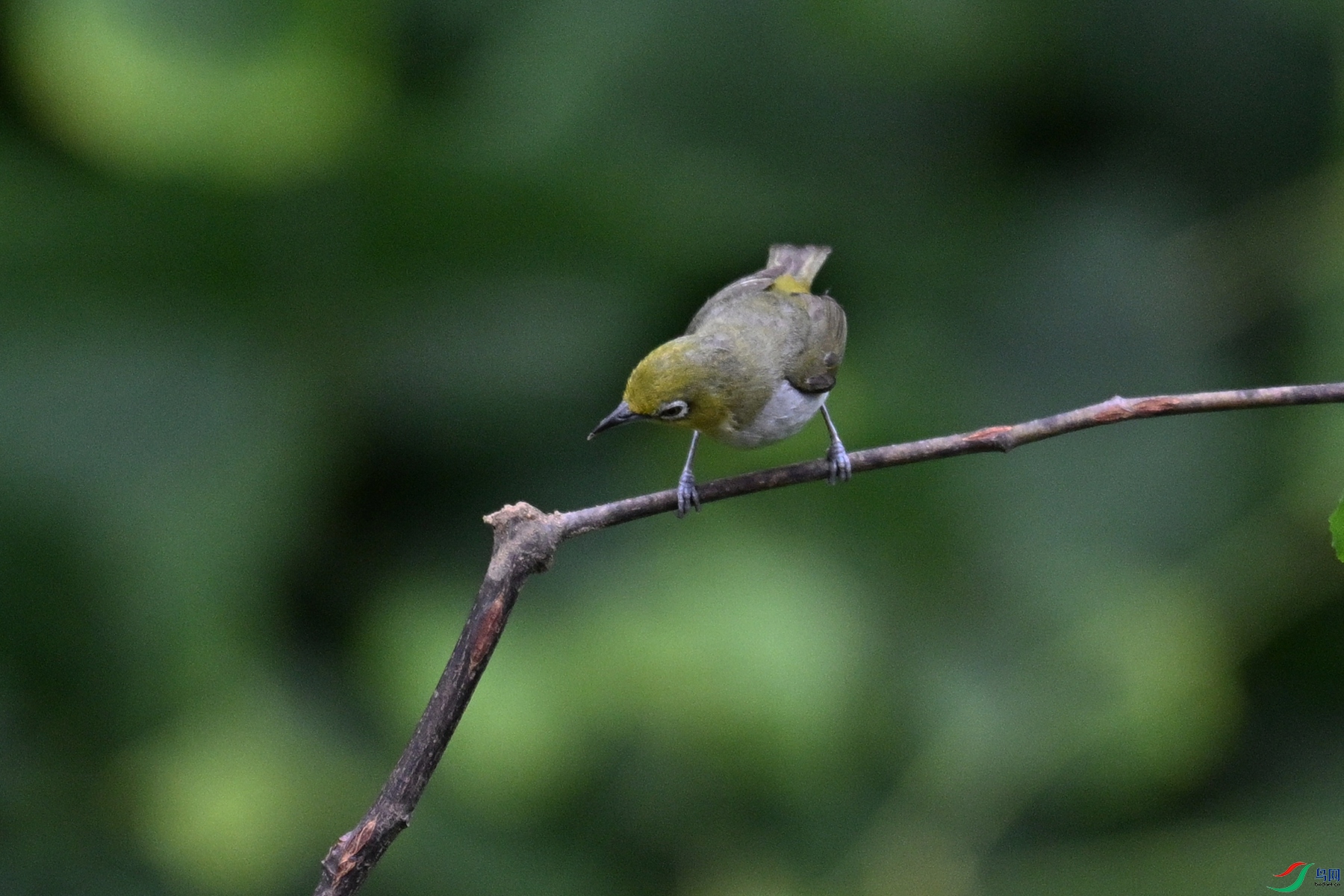 DSC_7970.JPG