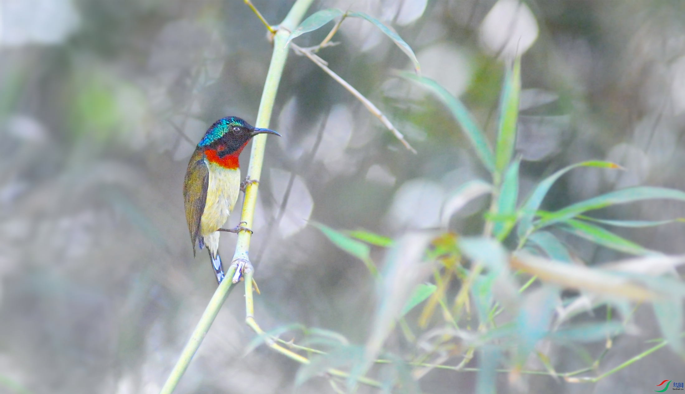 DSC_5810_.jpg