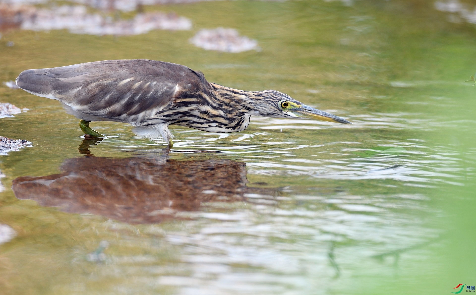 DSC_8166.jpg