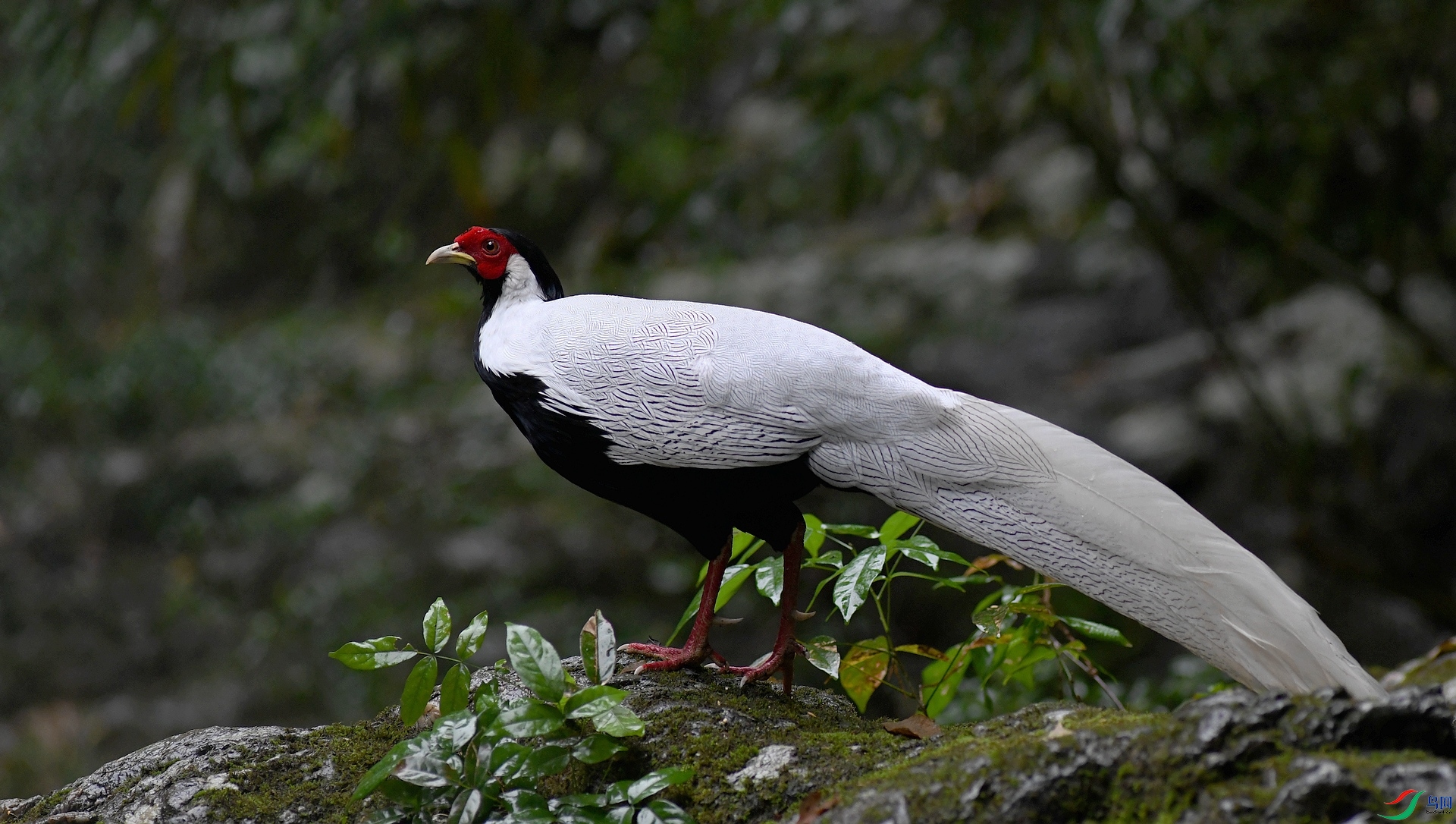 DSC_1270.jpg