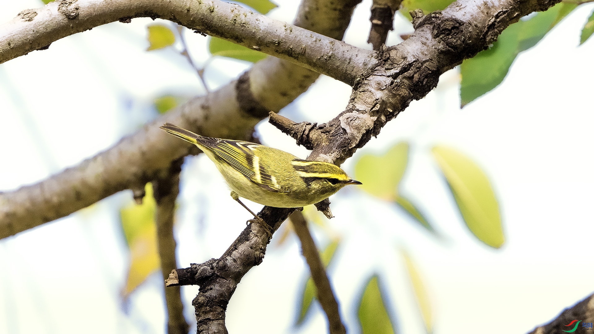 DSC_7457 ����.jpg