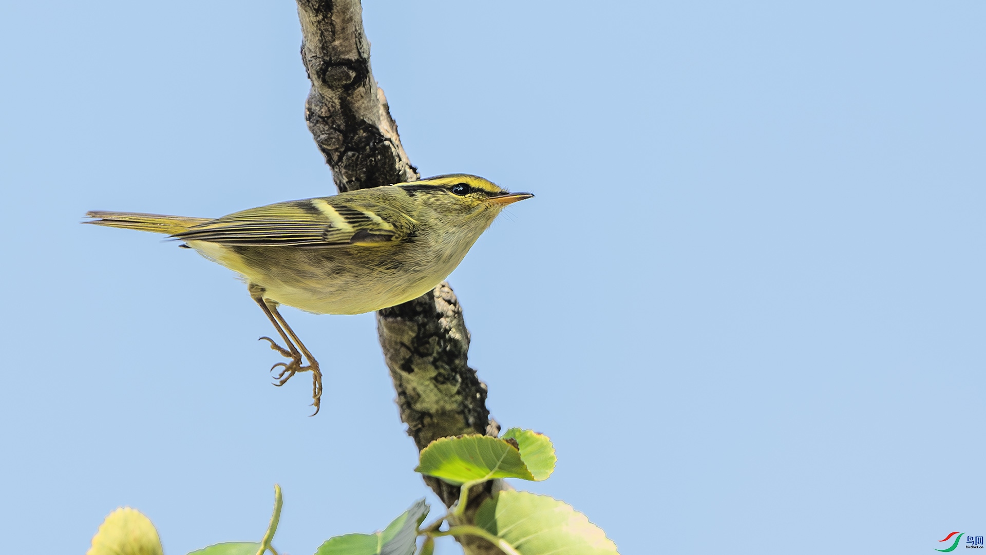 DSC_7494-����ǿ-NR ����.jpg