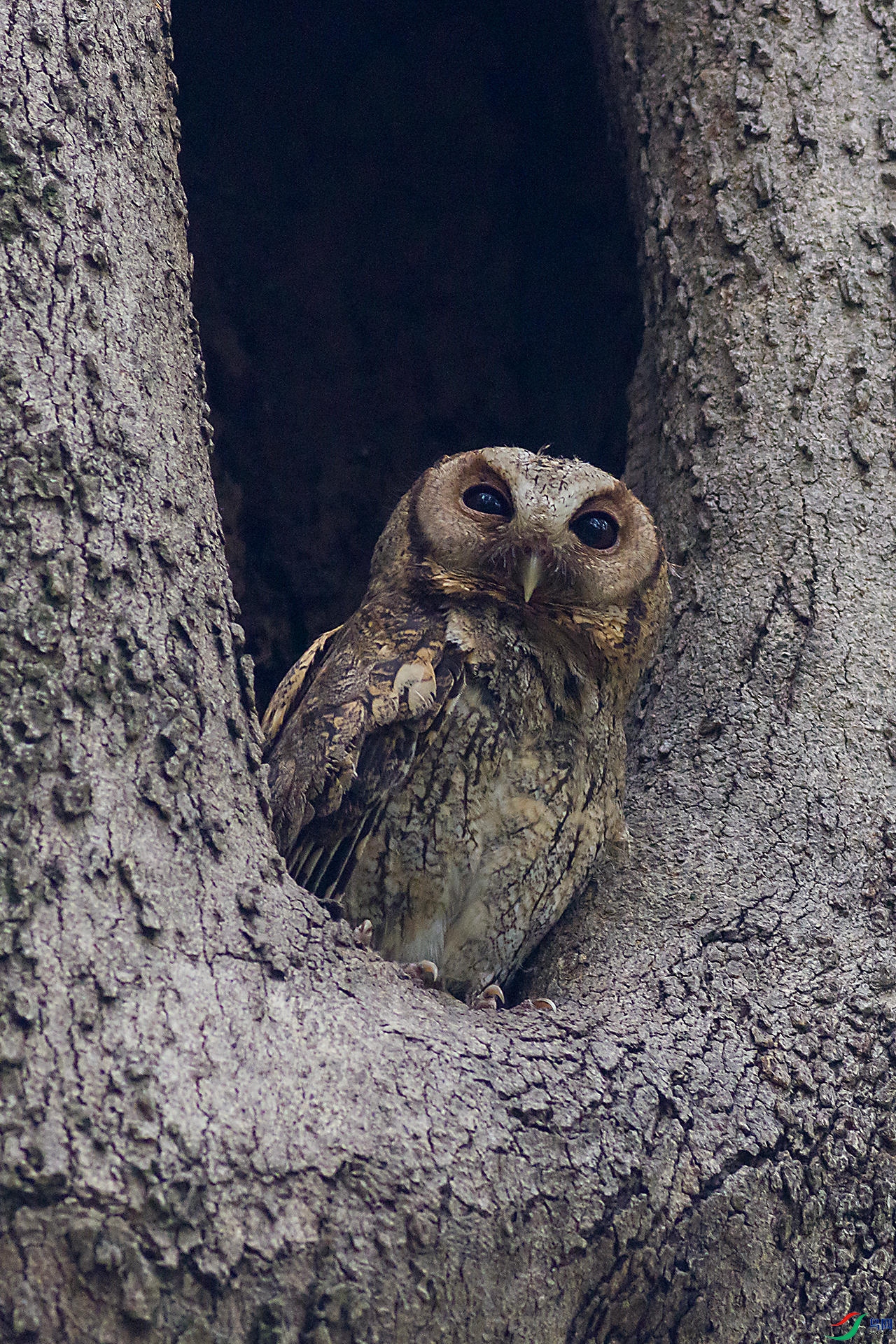 2H6A5820 ����_����.jpg