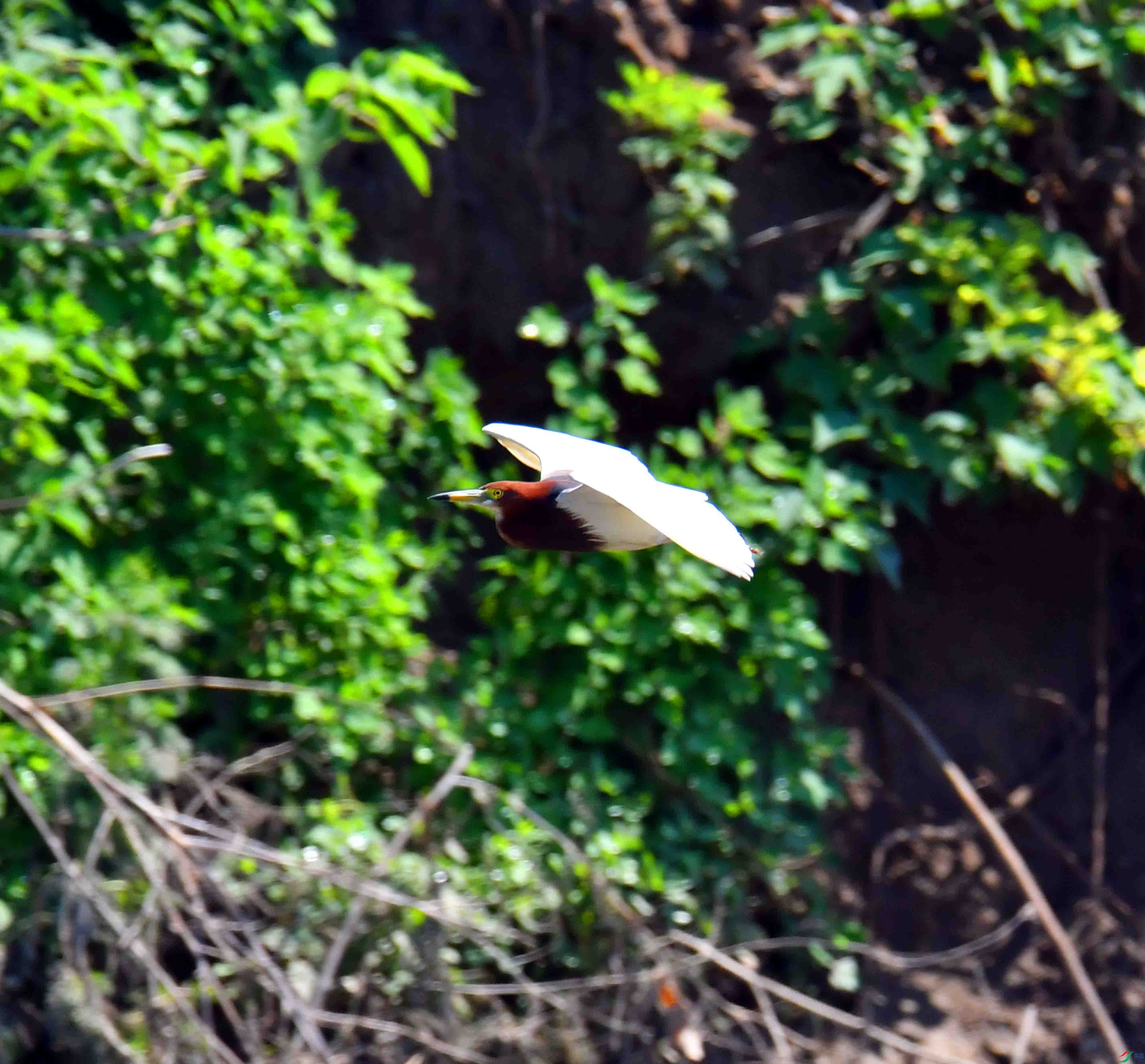 DSC_4044.JPG