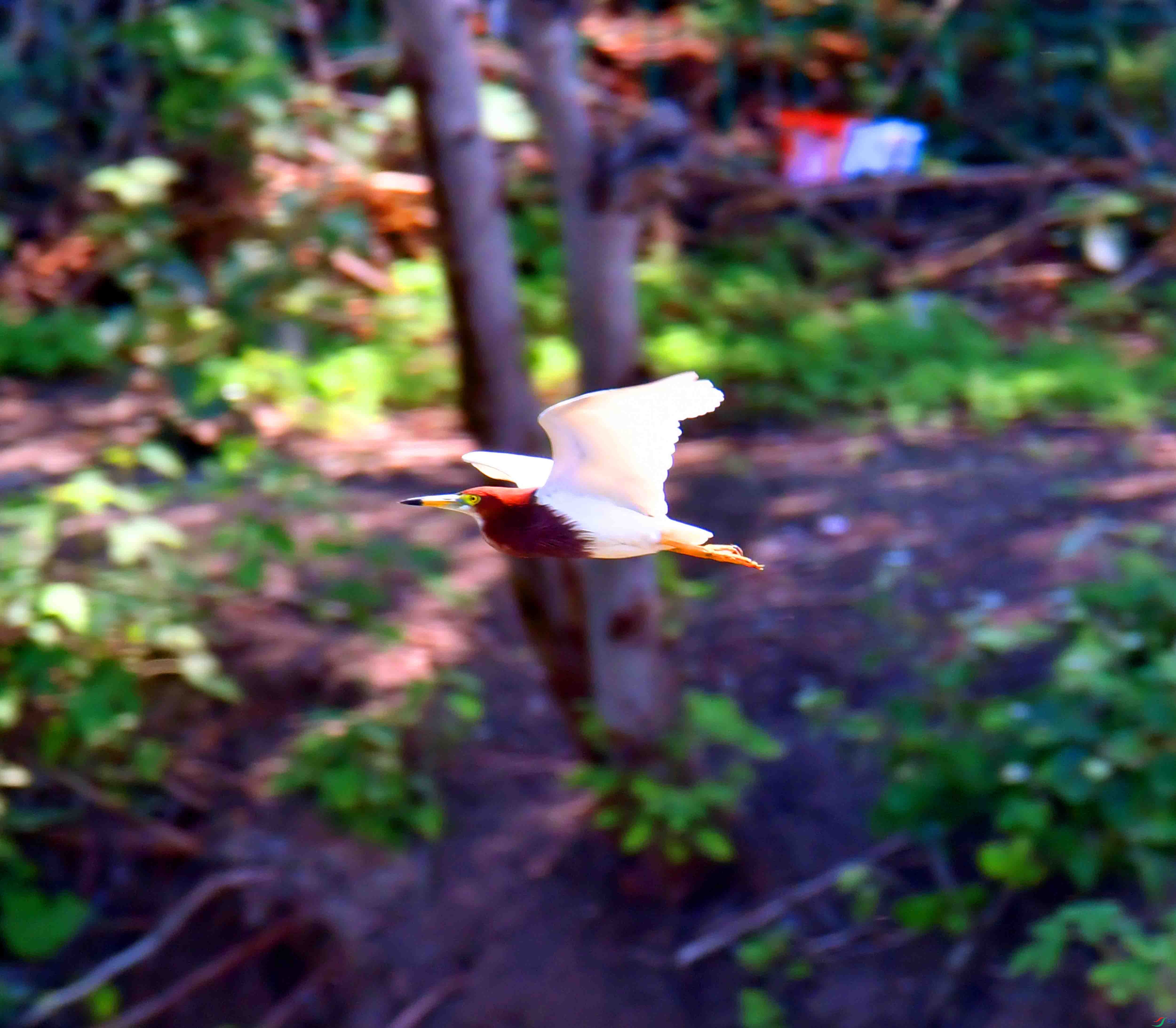 DSC_4052.JPG