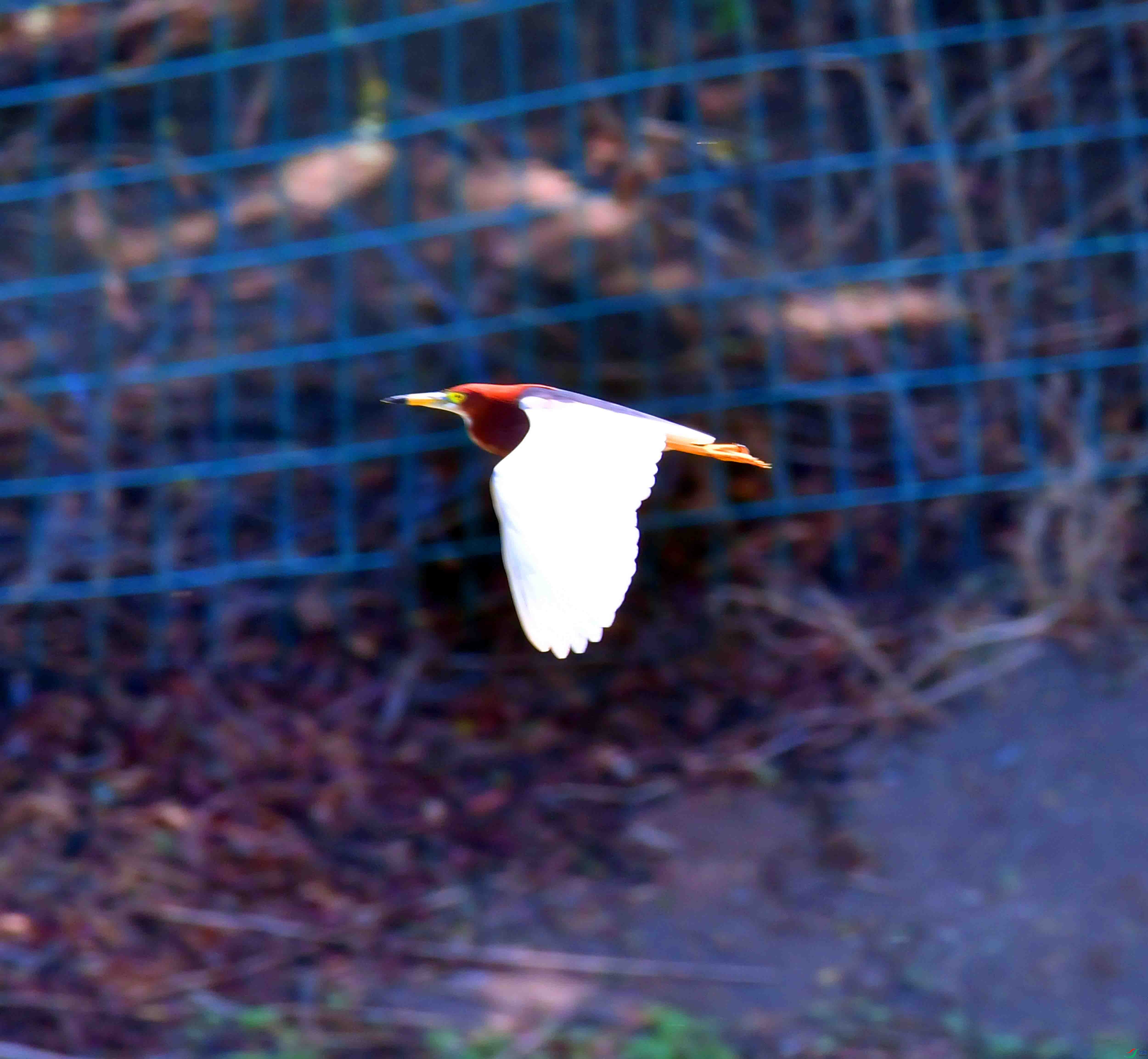 DSC_4054.JPG