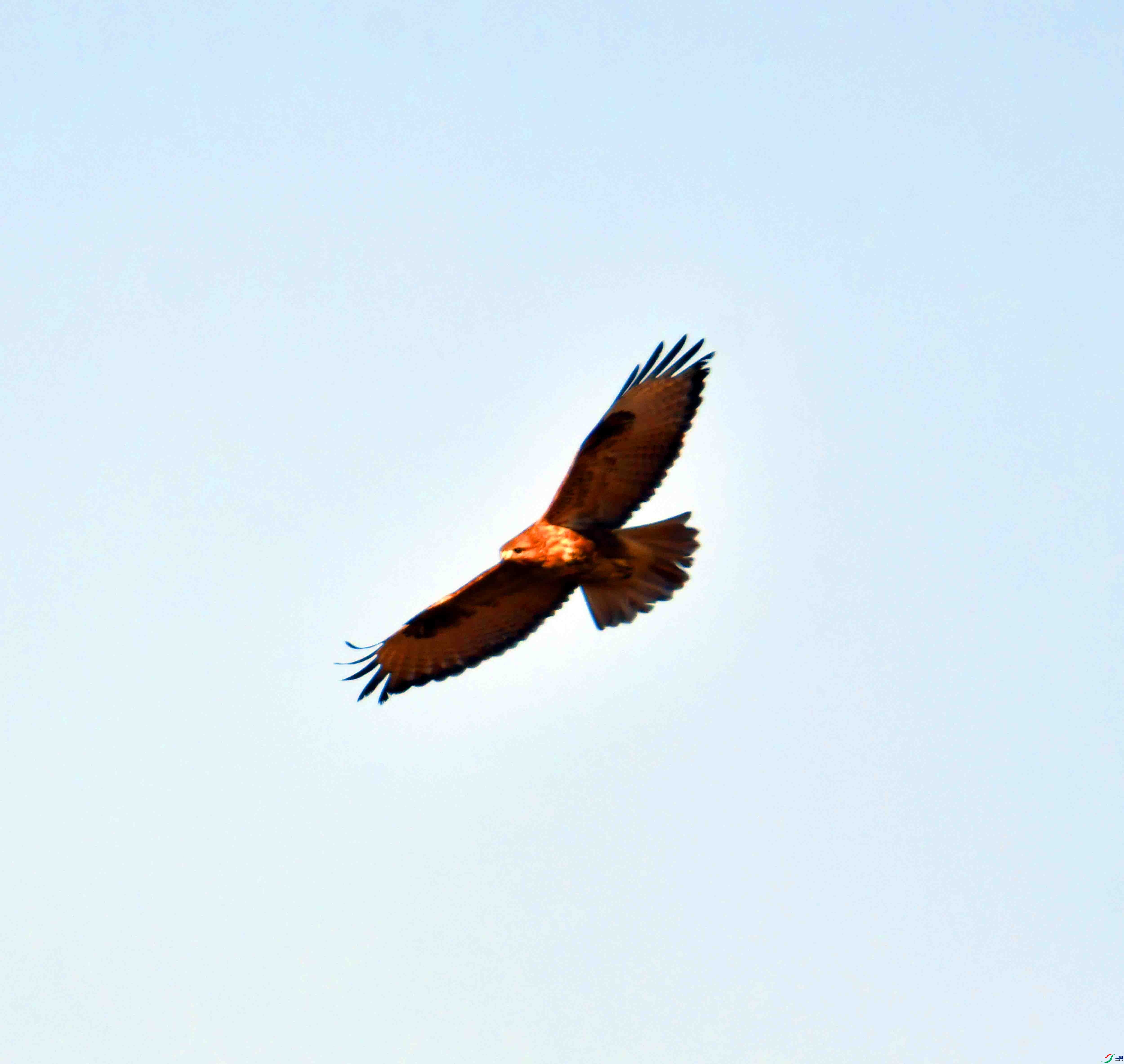 DSC_4465.JPG