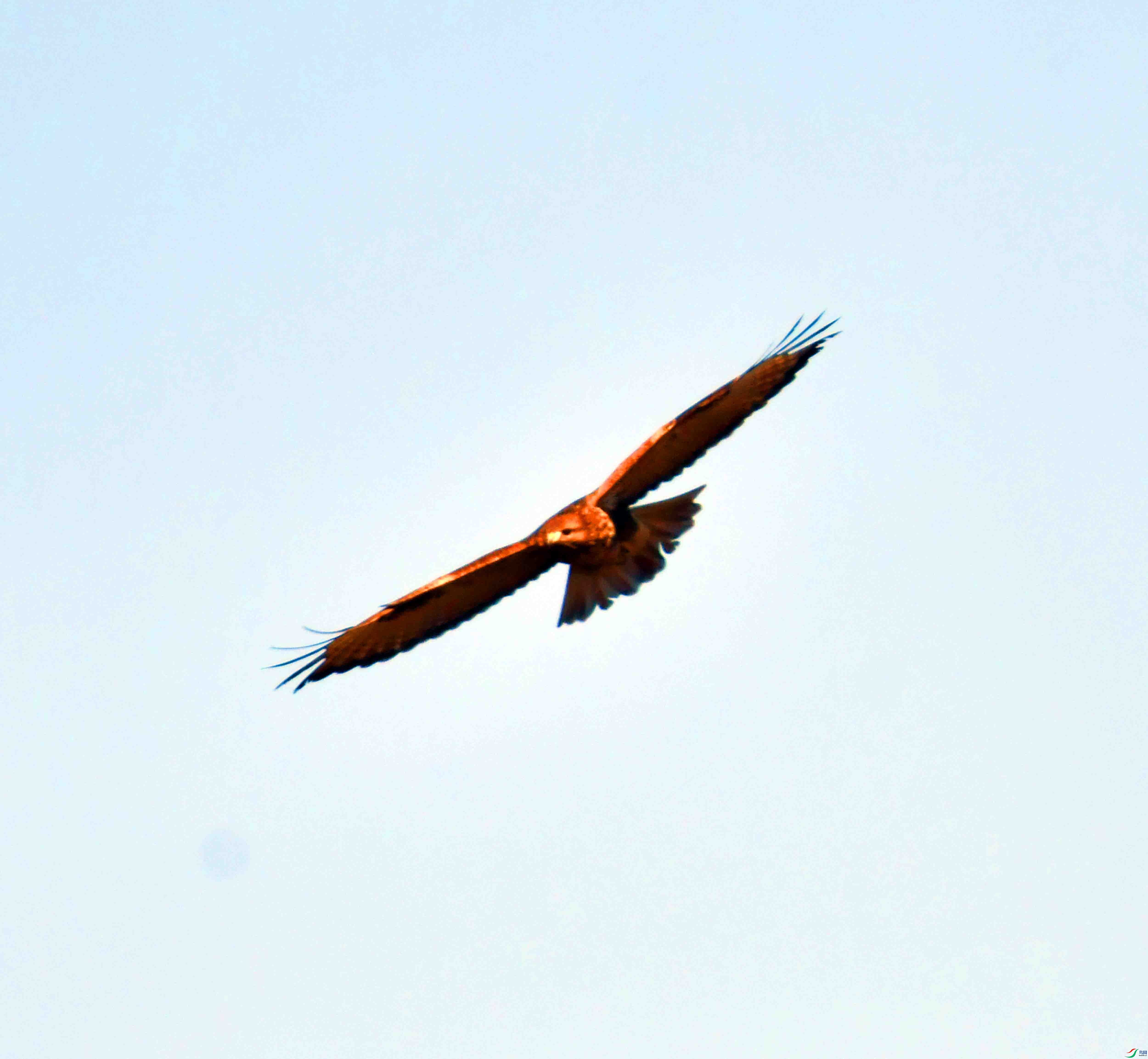 DSC_4464.JPG