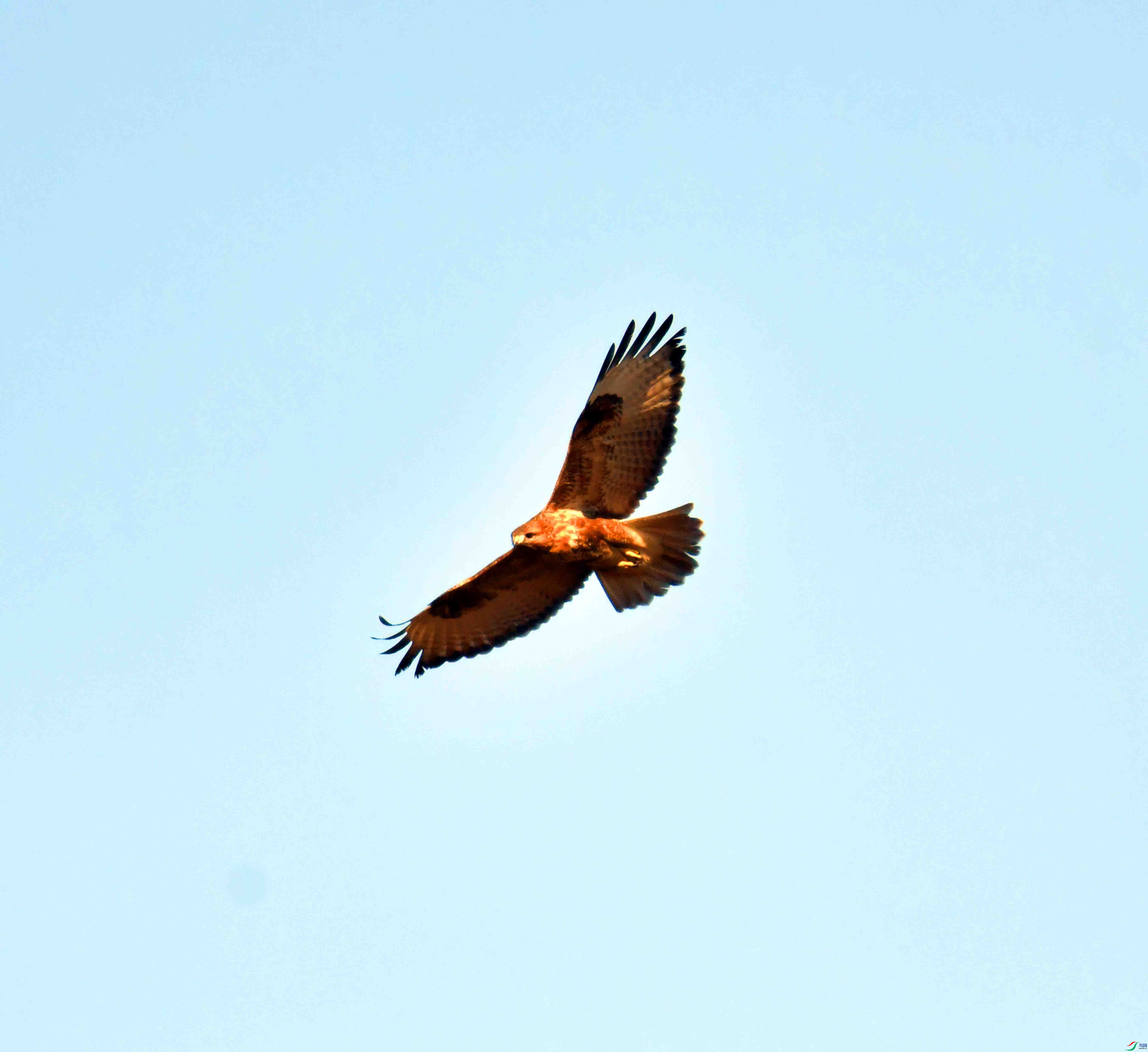 DSC_4476.JPG