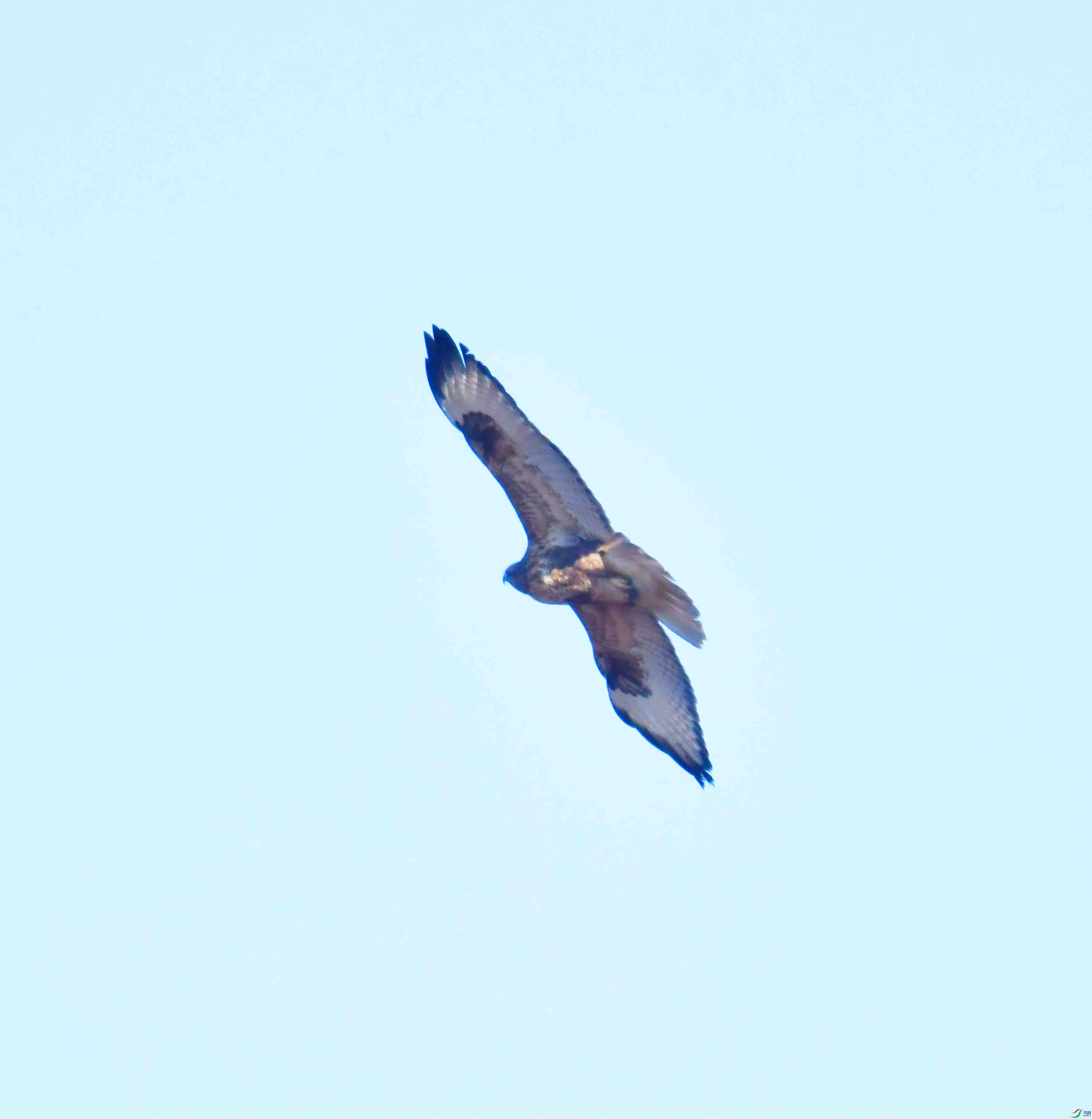DSC_4479.JPG