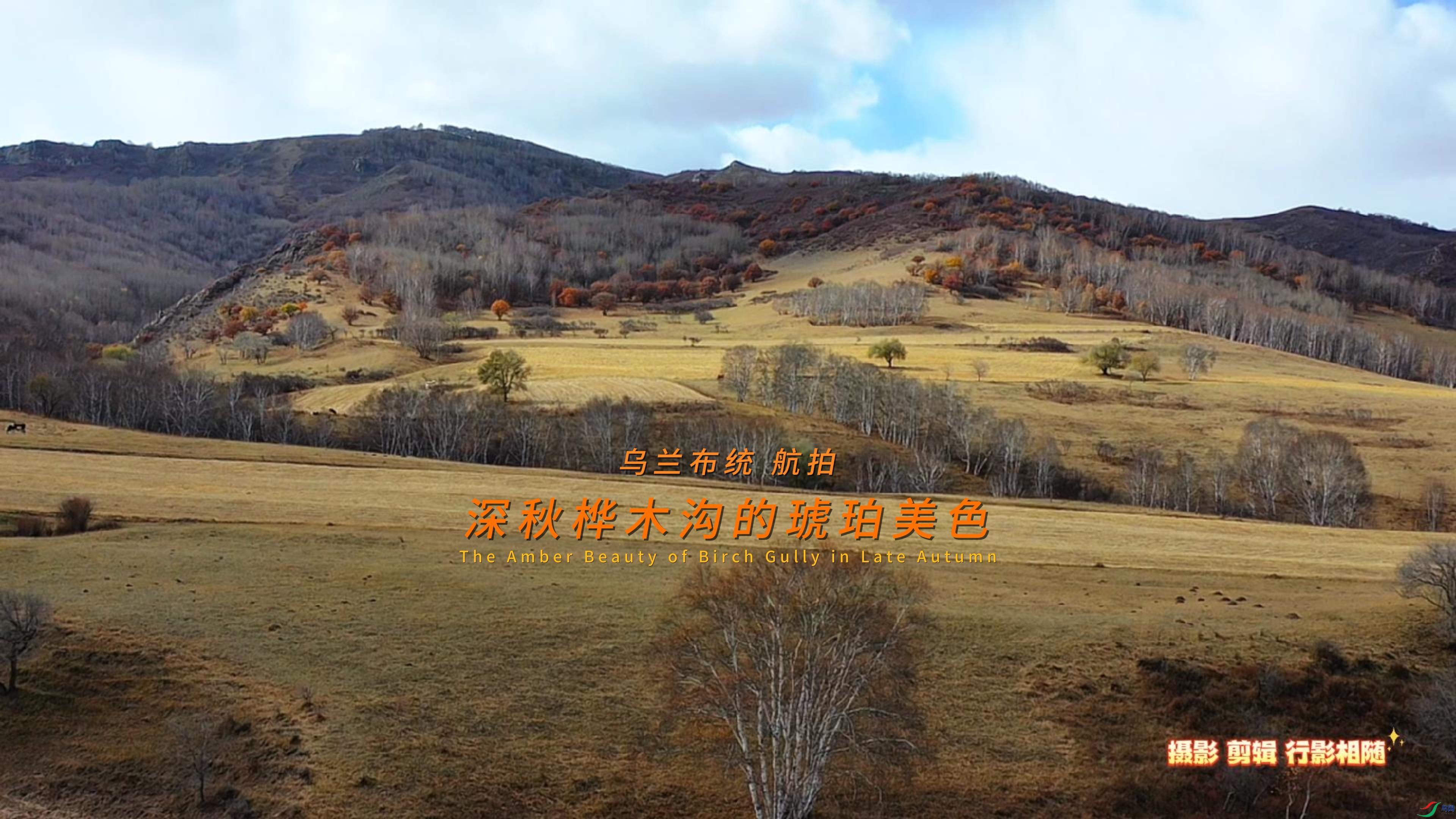 ���ɹ� ������ͳ ���� ������ľ����������ɫ-����.jpg