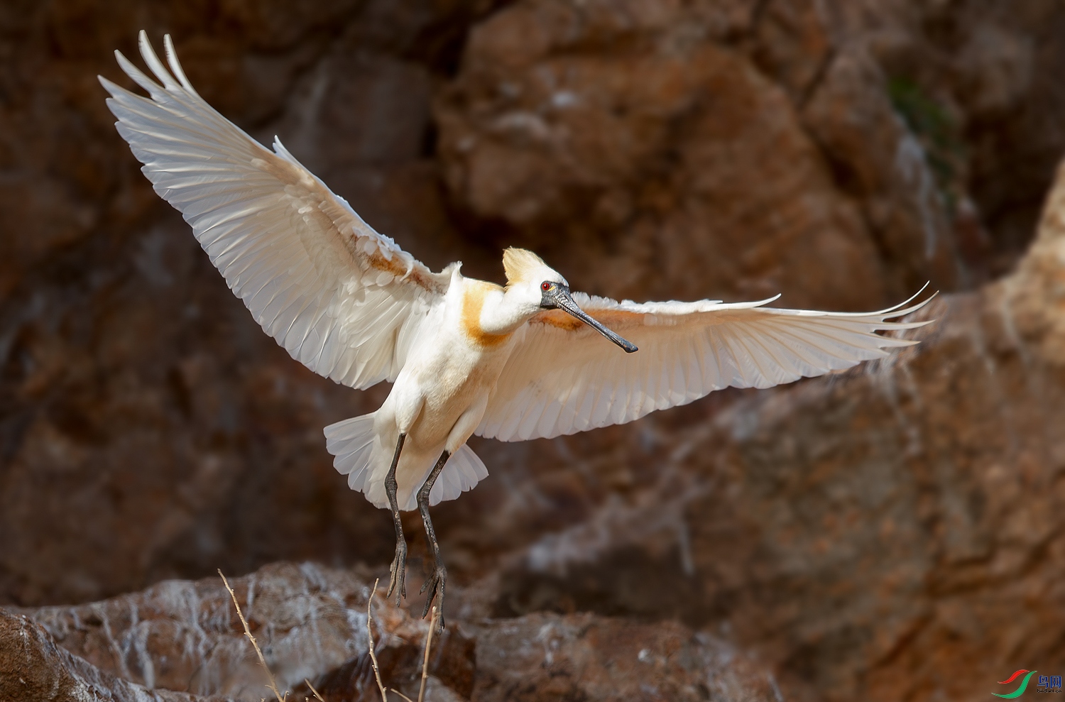 AQ9I3736-����ǿ-NR ���� 2.jpg