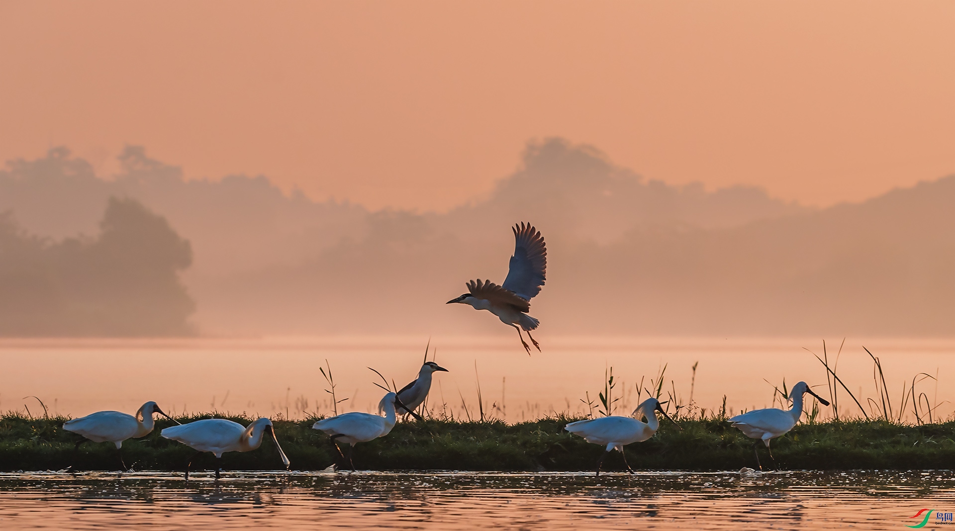 ҹ�����������