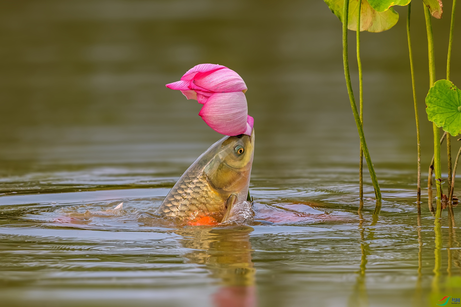 _AUU7889 ��������(25.7.29).jpg